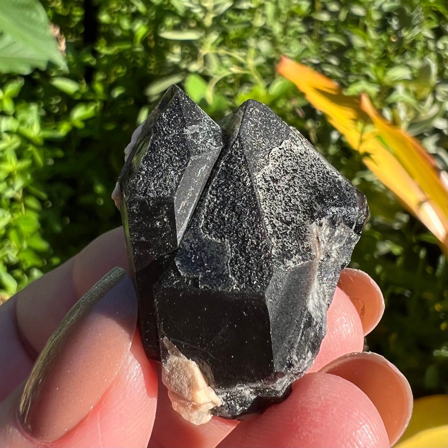 Black Smoky Quartz | China | Lustrous Morion Quartz Specimen