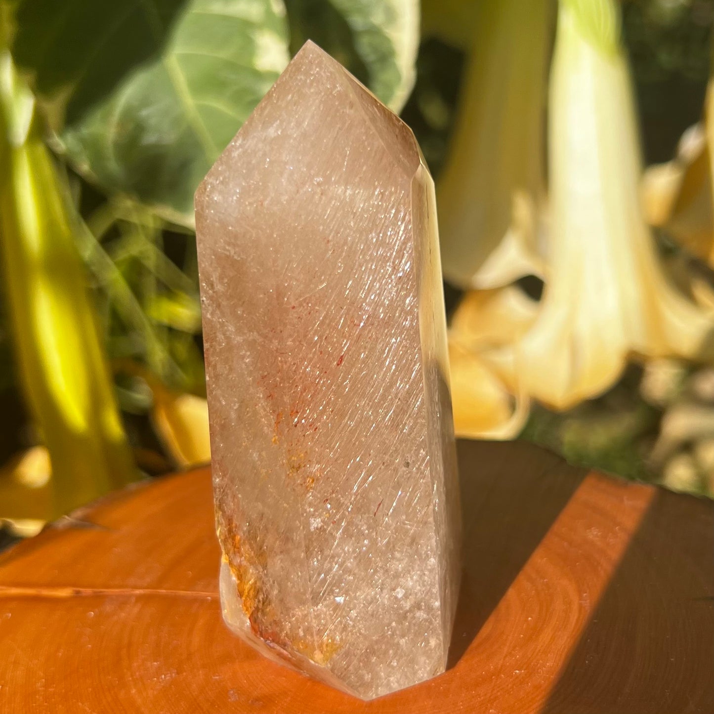 Golden Healer 'Sea Urchin' Quartz with inclusions of Hollandite, Iron ore staining and drifts of fine rutile filaments. A totally unique Inclusion Quartz specimen.