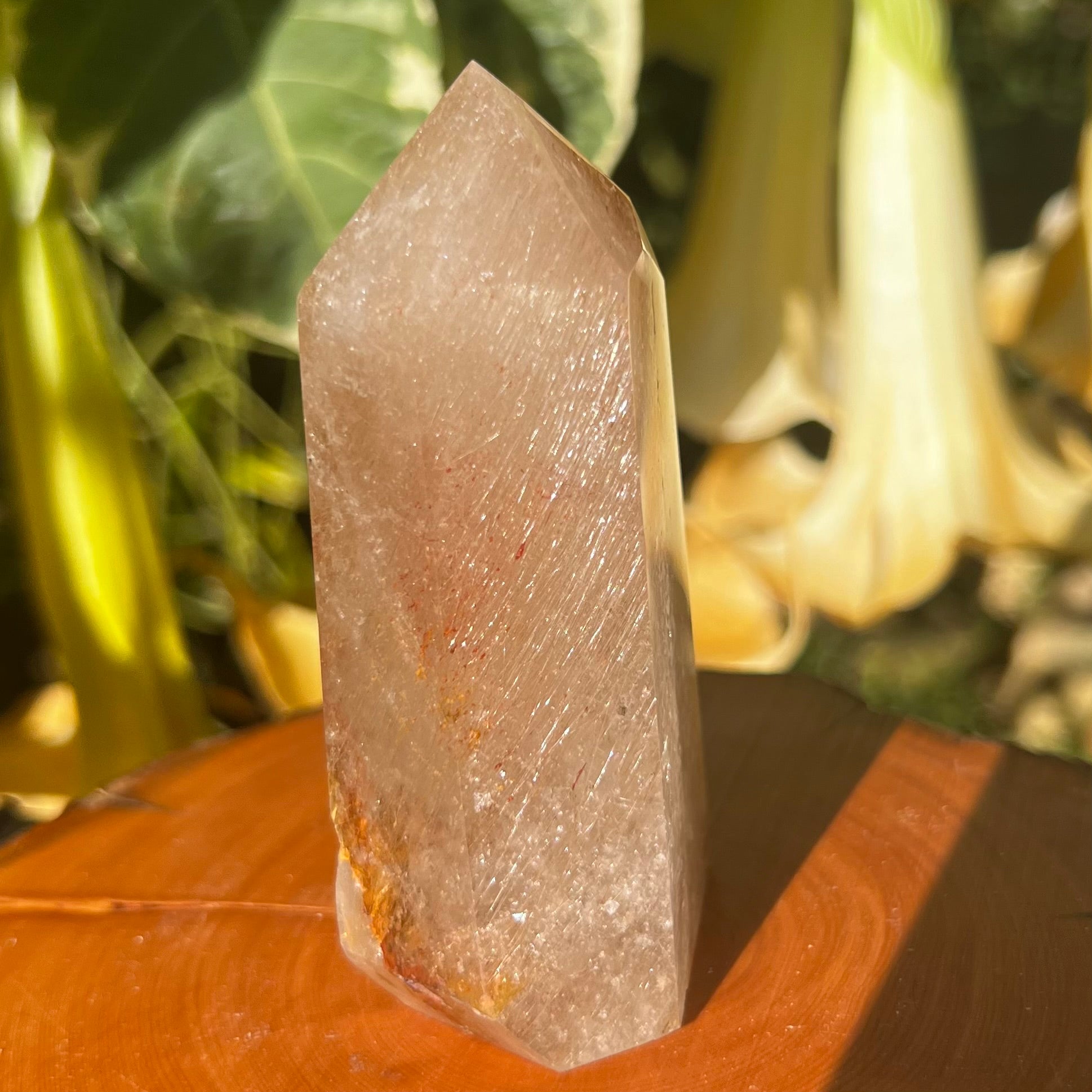 Golden Healer 'Sea Urchin' Quartz with inclusions of Hollandite, Iron ore staining and drifts of fine rutile filaments. A totally unique Inclusion Quartz specimen.