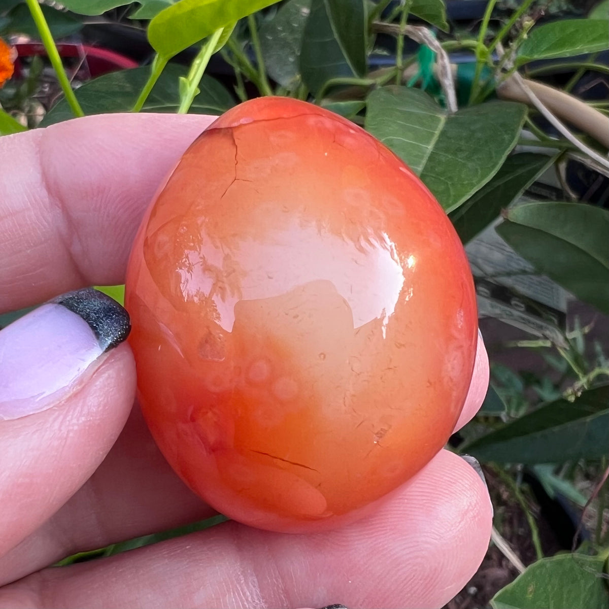 Polished Carnelian Agate Egg Geode|Palm Stone with Quartz Druzy