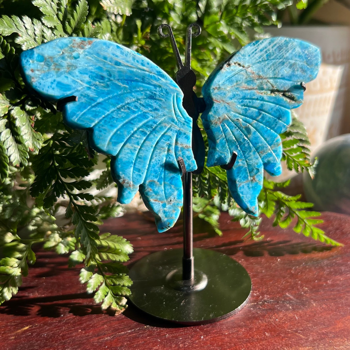 Apatite Winged Butterfly Display