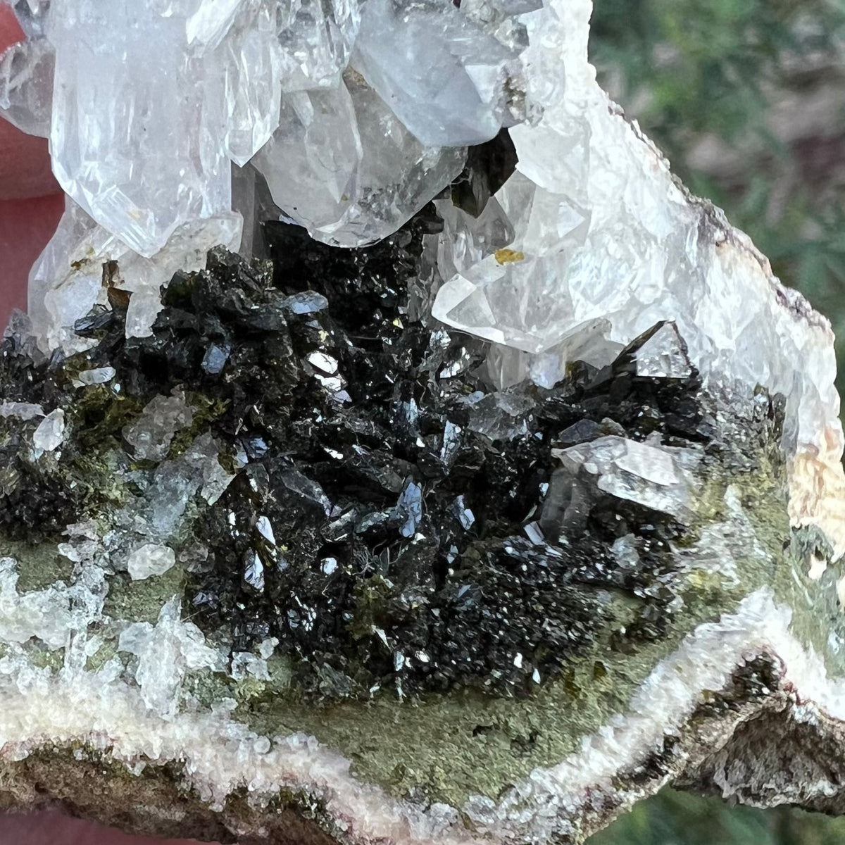Epidote and Quartz 'Sandwich' Cluster Specimen - 'Fairy Forest' specimen