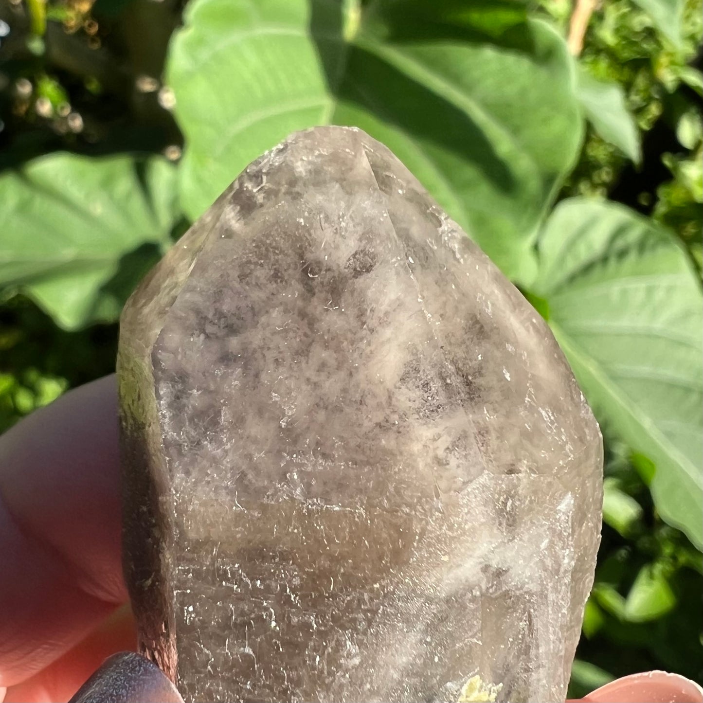 Morion Black Quartz with Clear Smoky Quartz Phantom Cap | China