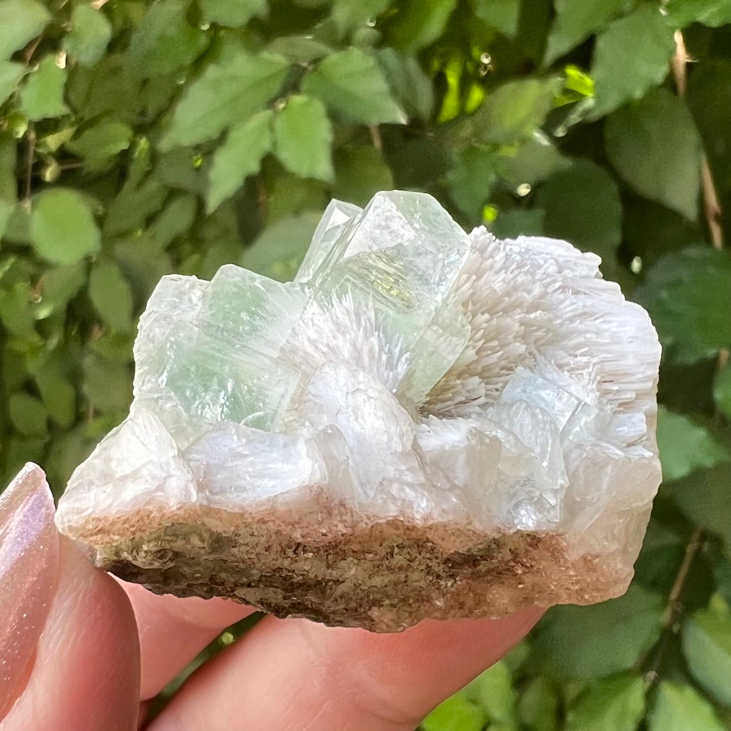 Green Apophyllite, Mordenite & Calcite Zeolite mineral specimen -  Jalgoan District, Maharashtra, India