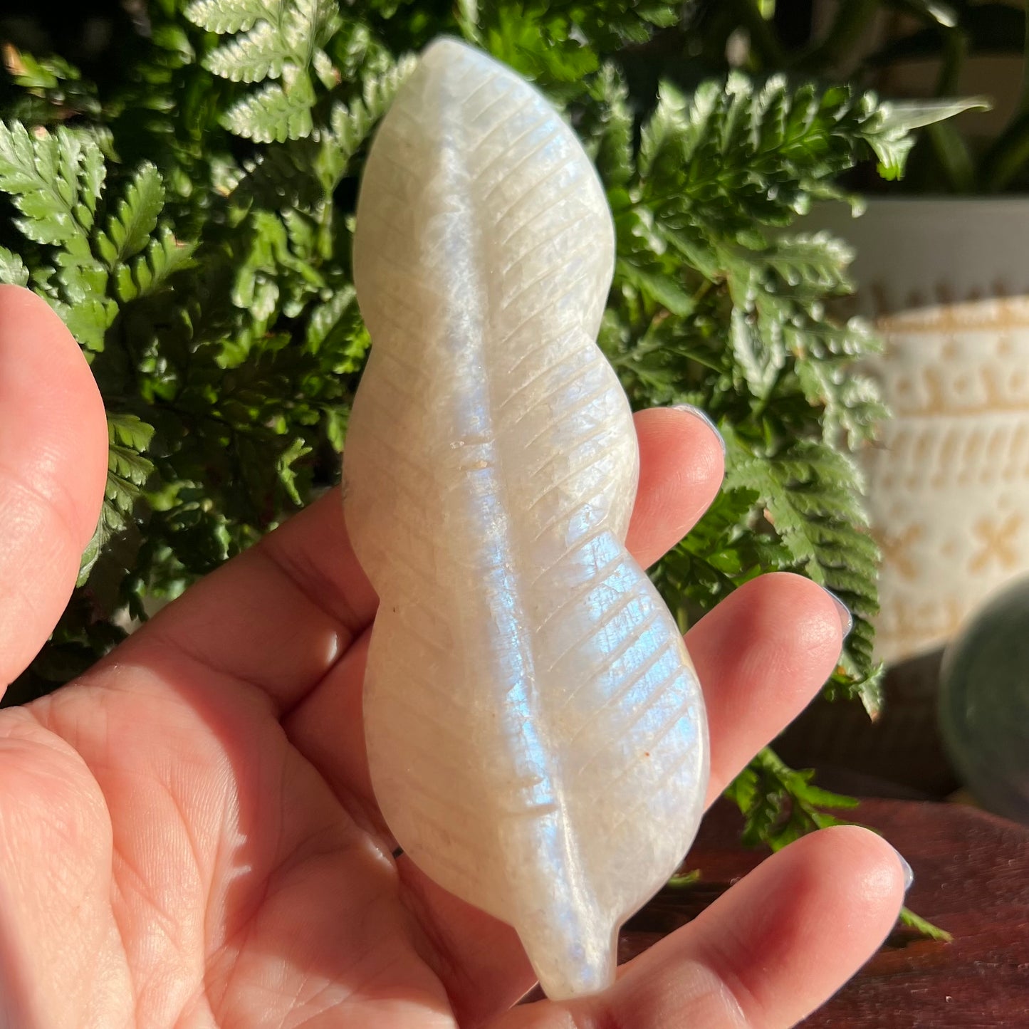 White Moonstone Carved Angel Feather (Blue flash)