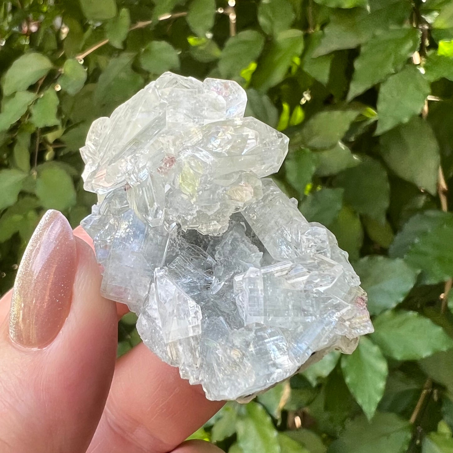 Clear Apophyllite Zeolite specimen - Jalgoan District, Maharashtra, India