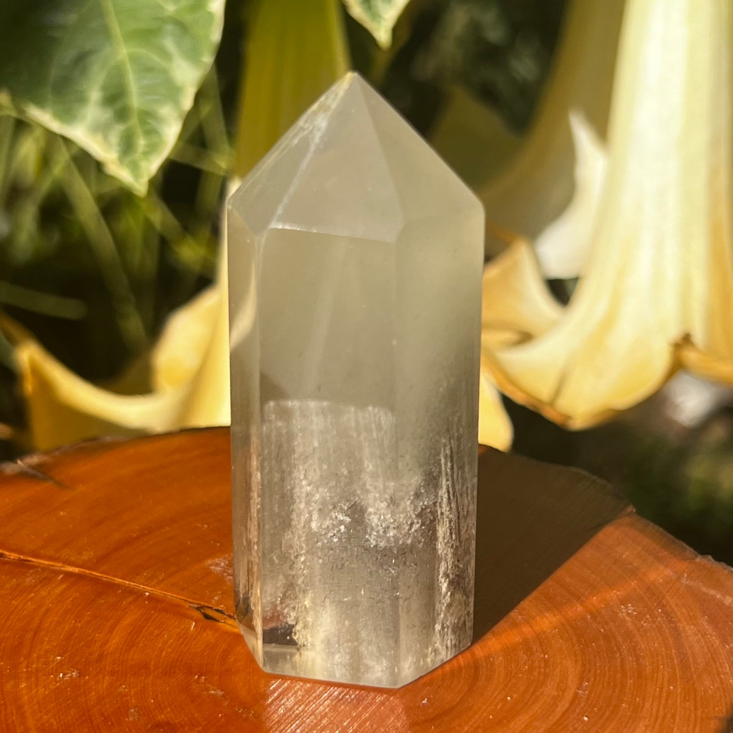 'Thousand Layer' Inclusion Phantom Quartz Point | Brazil