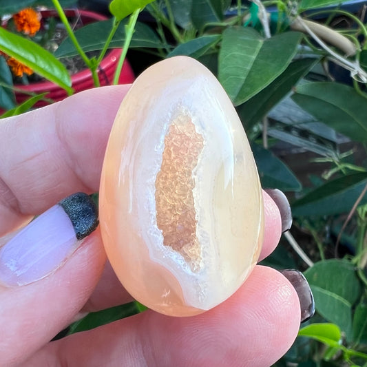 A pale polished agate geode stone showing pale outer mineral banding and a crystalline interior cavity, with green leaves in the background.