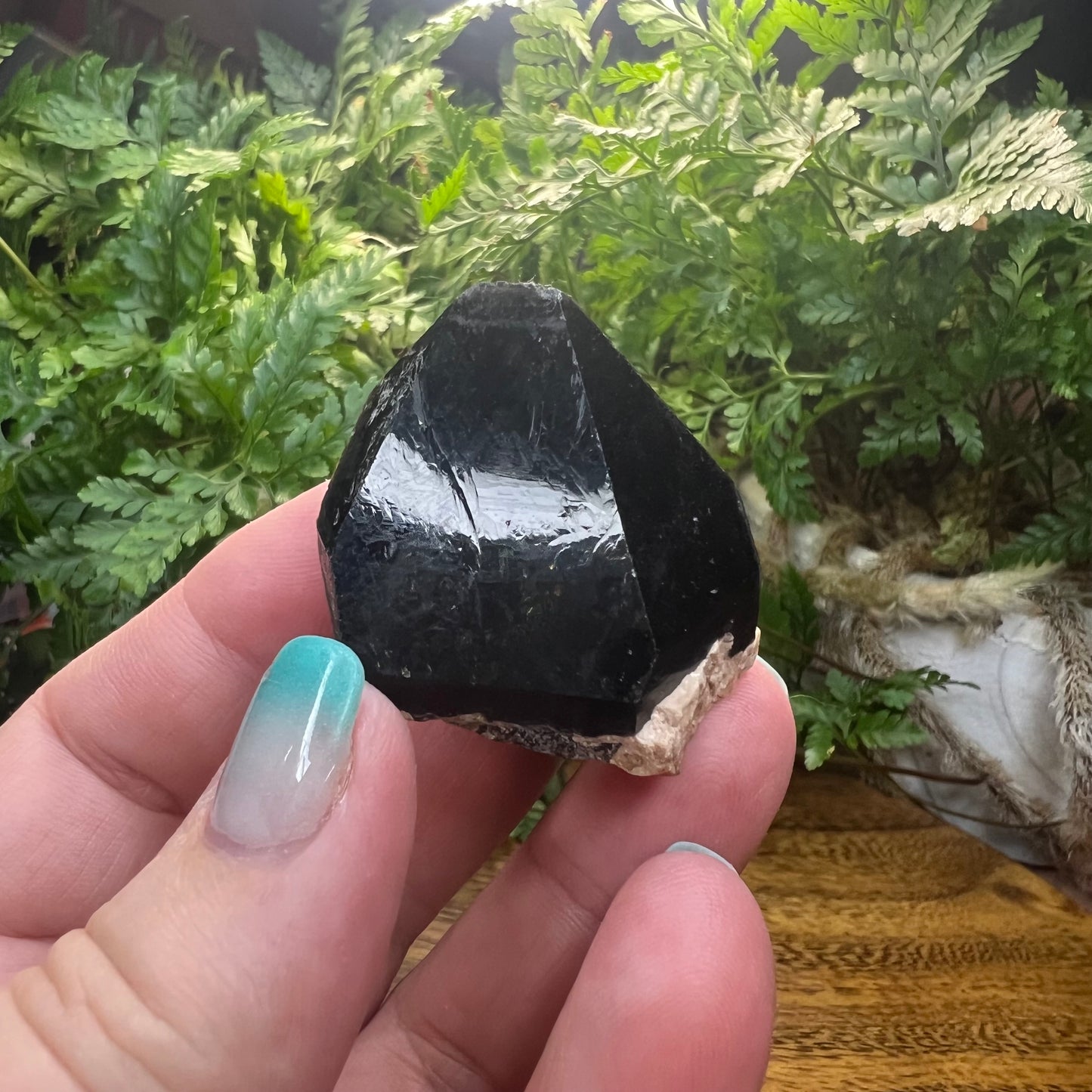 Morion Quartz Point - Black Quartz - Natural - Record Keepers