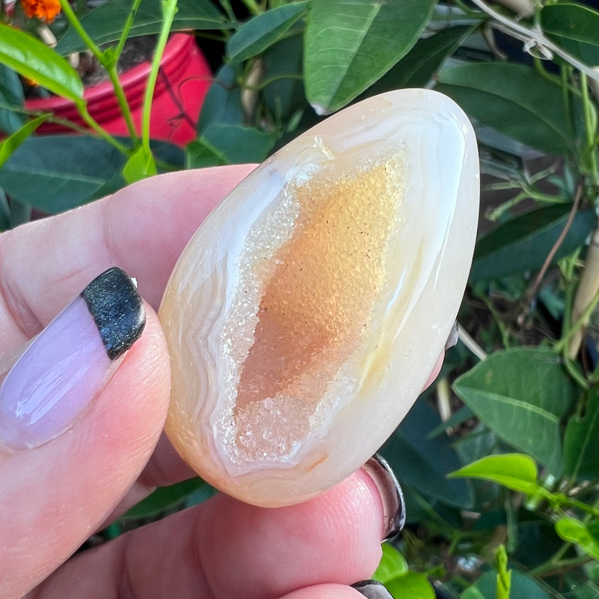 A large sparkling crystalline cavity inside a highly polished agate geode stone with pale mineral banding and a green leafy background.