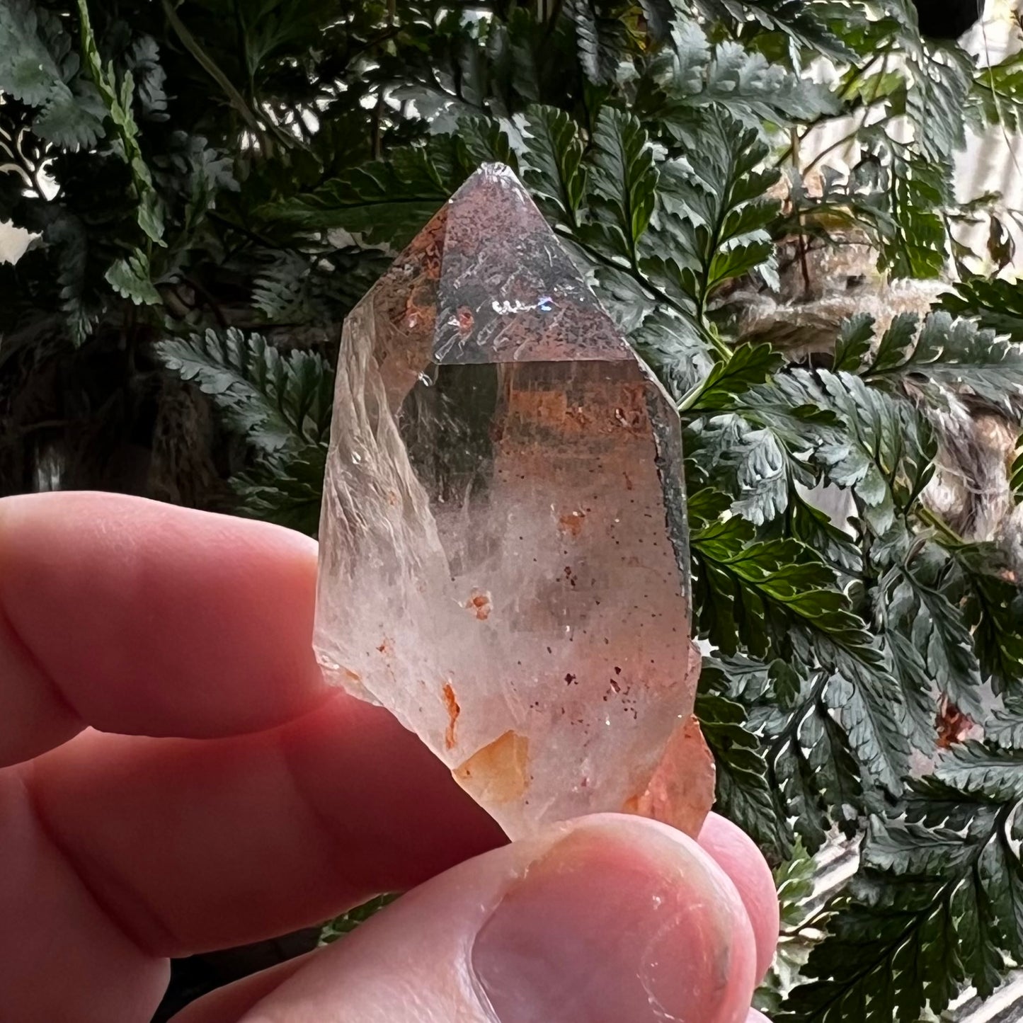 Natural Lemurian Quartz Point with Hematite & Chlorite Inclusions | Himalayan region