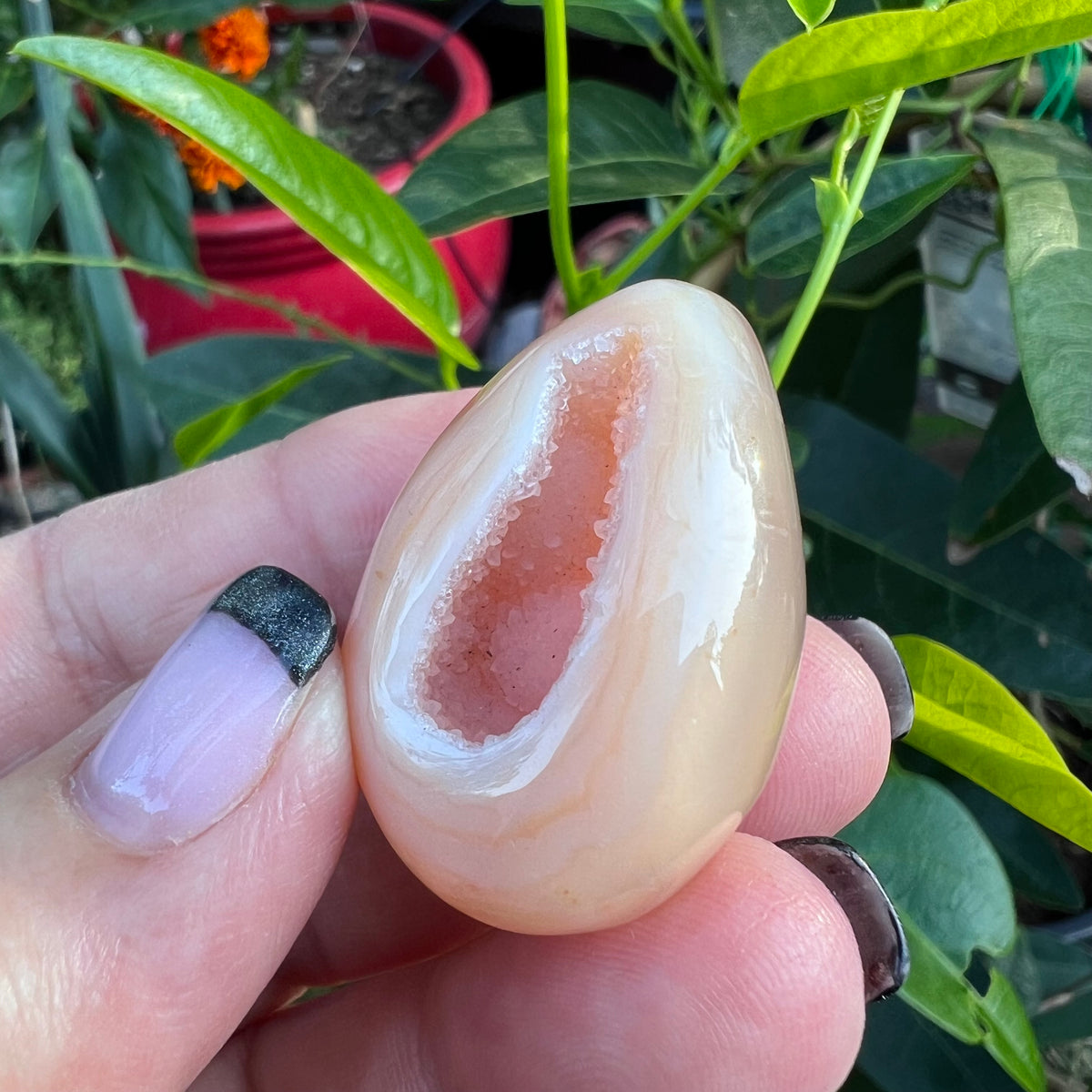 A hand holds a polished peach agate geode stone with a smooth, rounded body and a hollowed-out interior showing a pinkish-orange cavity.