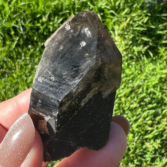 Morion Quartz Point | Black Quartz with Smoky Quartz capping