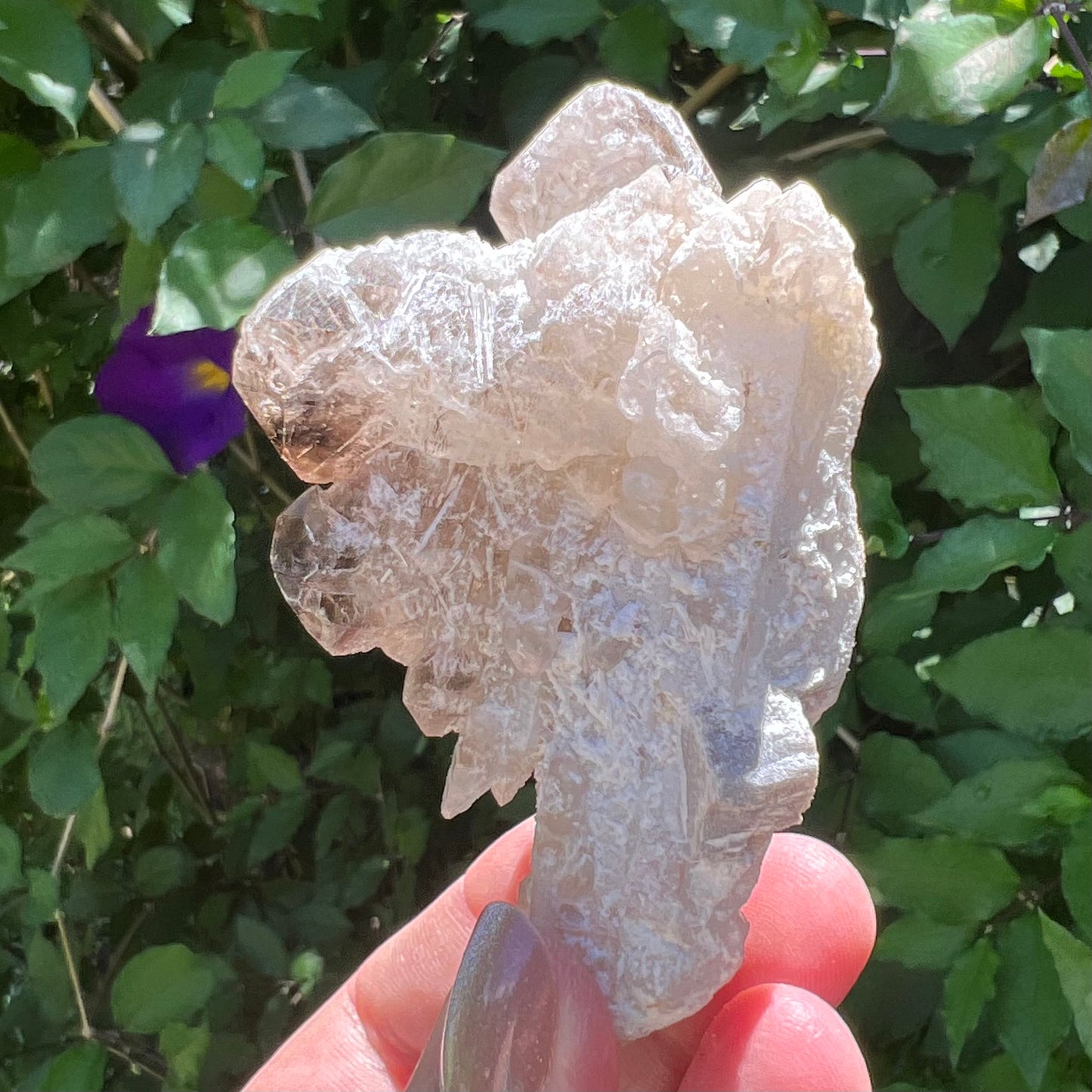 Elestial Stalactite of Clear Quartz with DT Smoky Quartz - Inner Mongolia