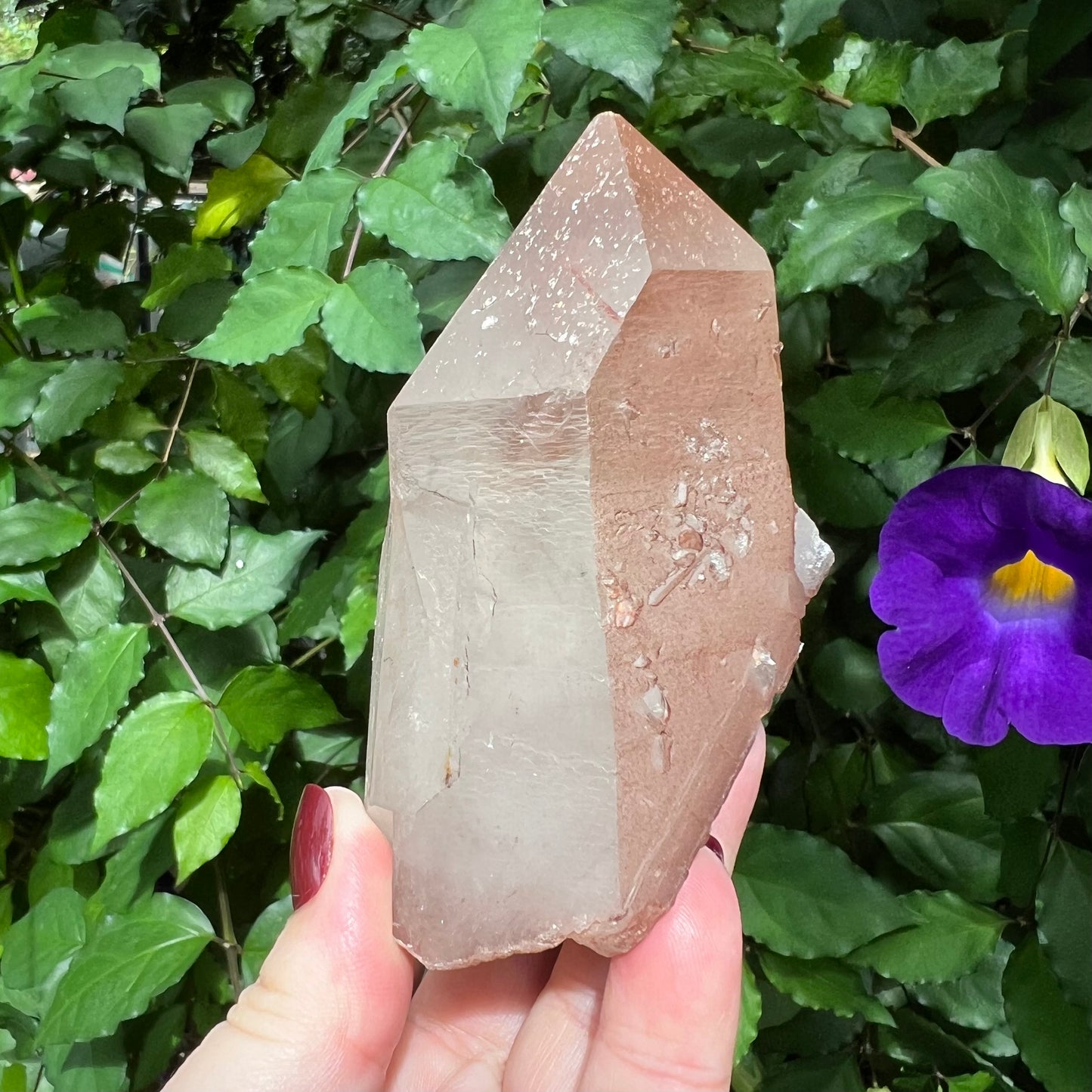 Red Hematoid Quartz Point Specimen - A super chunky self-healed double-terminated point on rose gold stand