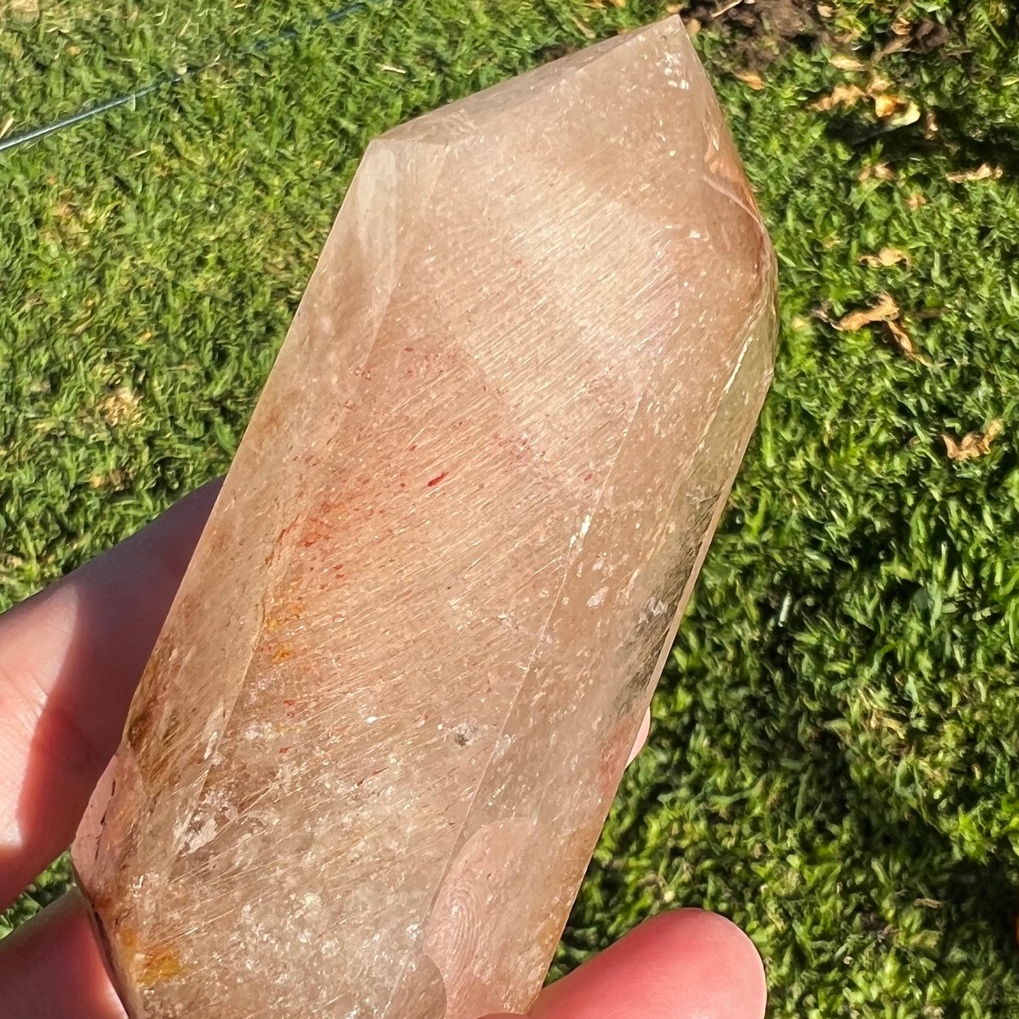 Golden Healer Sea Urchin Quartz Polished Point - Brazil | Hollandite, Iron and Rutile inclusions
