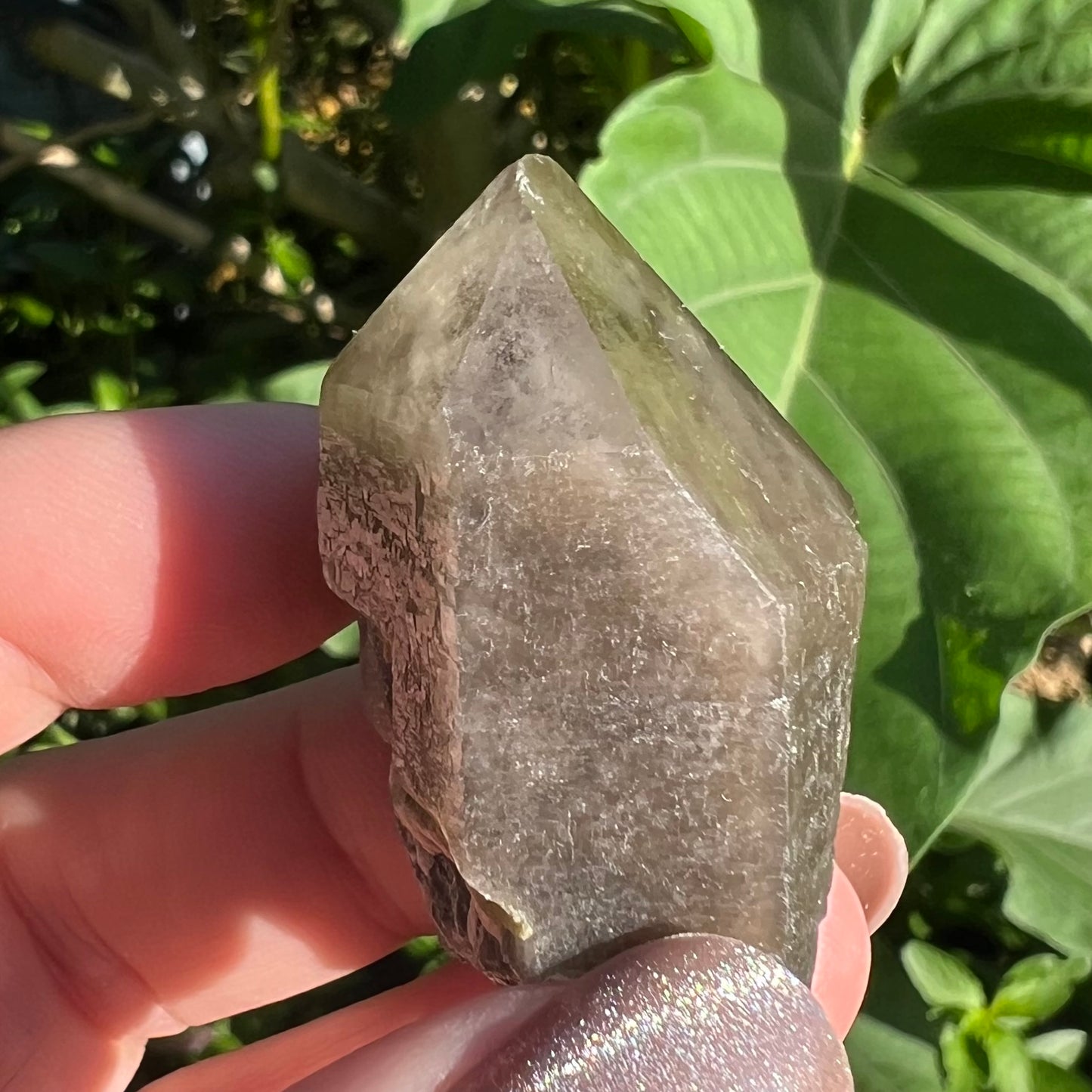 Morion Black Quartz with Clear Smoky Quartz Phantom Cap | China