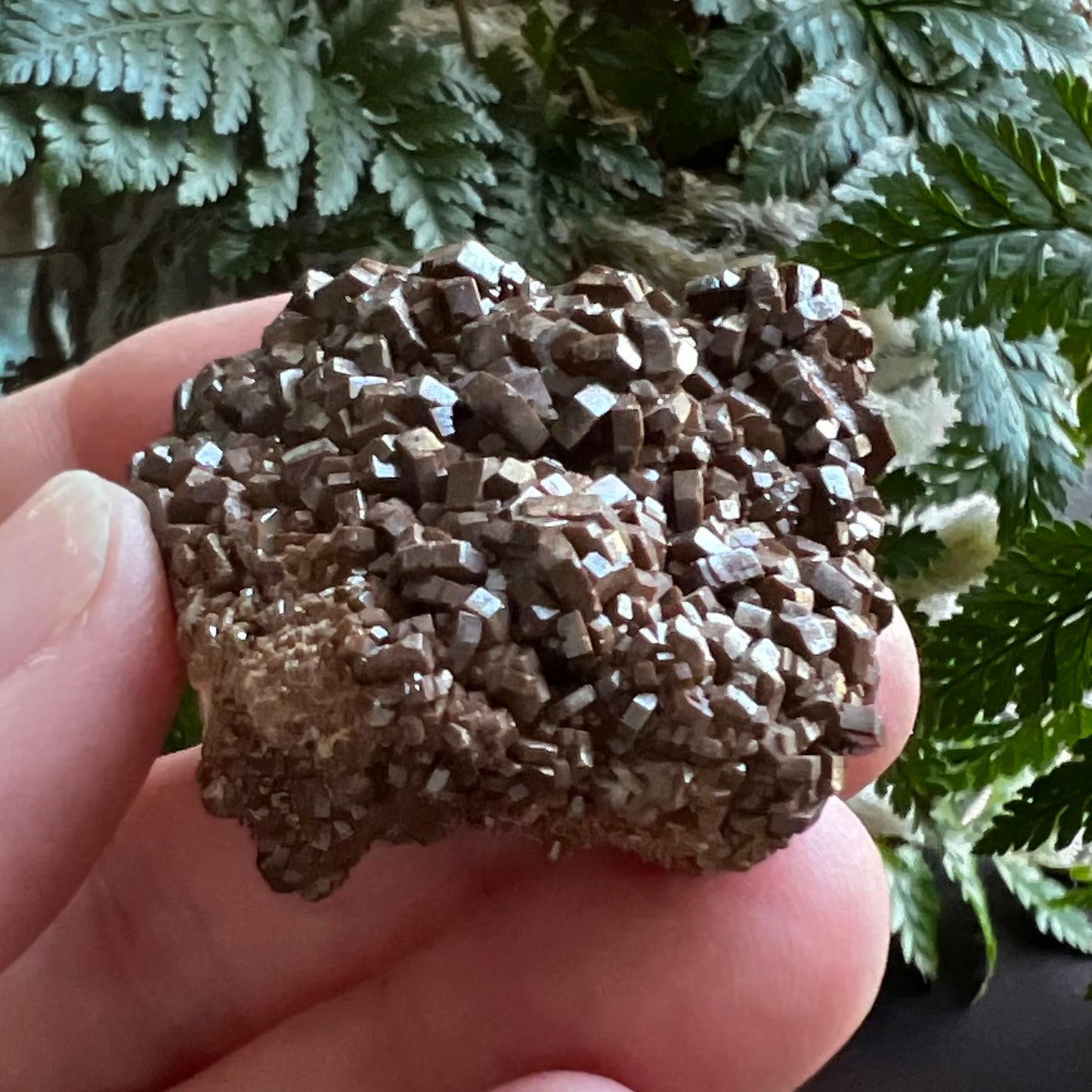 Vanadinite Cluster - Bronze/Brown dense cubic form: Morocco