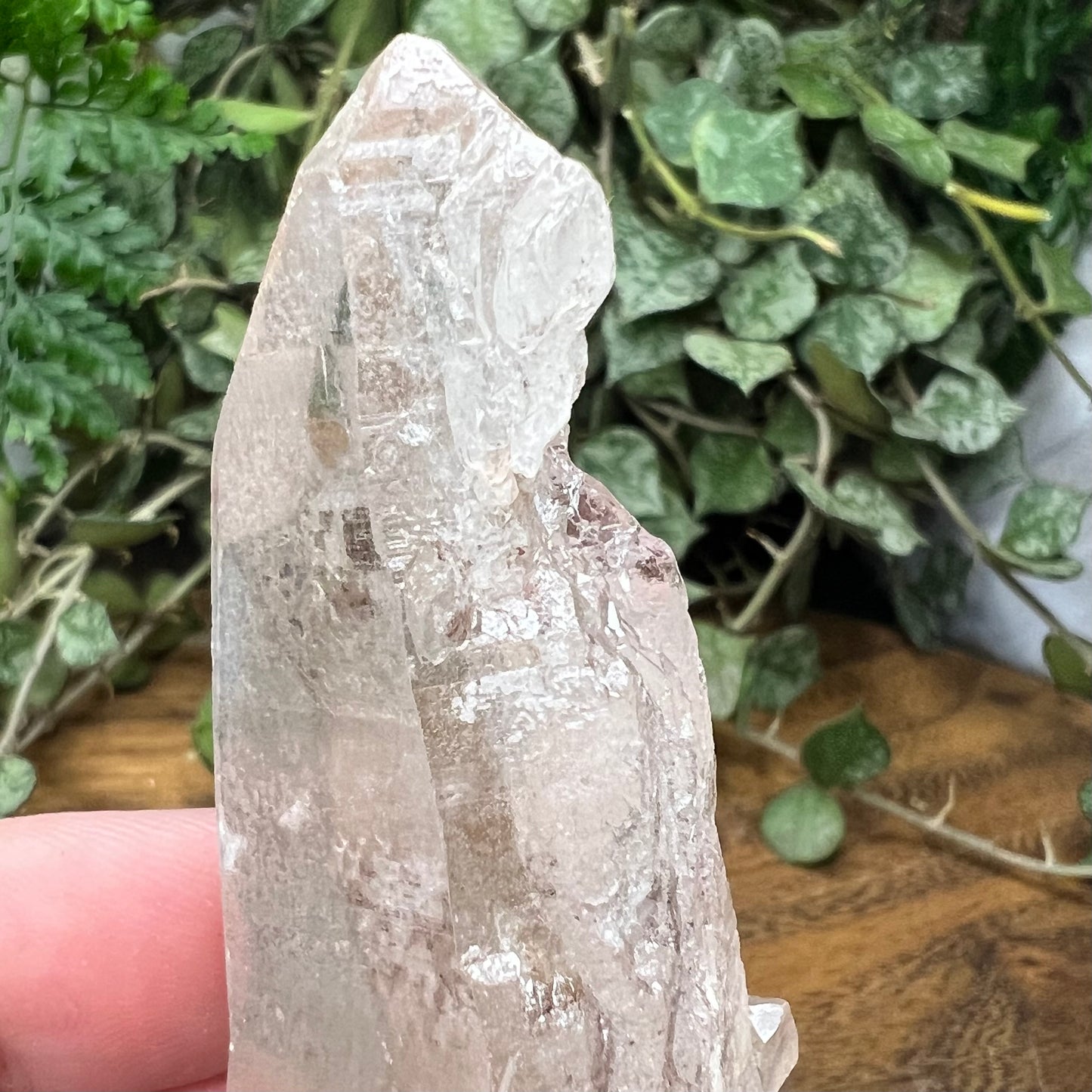 Empathic Warrior Self-Healed Quartz Point with penetrator