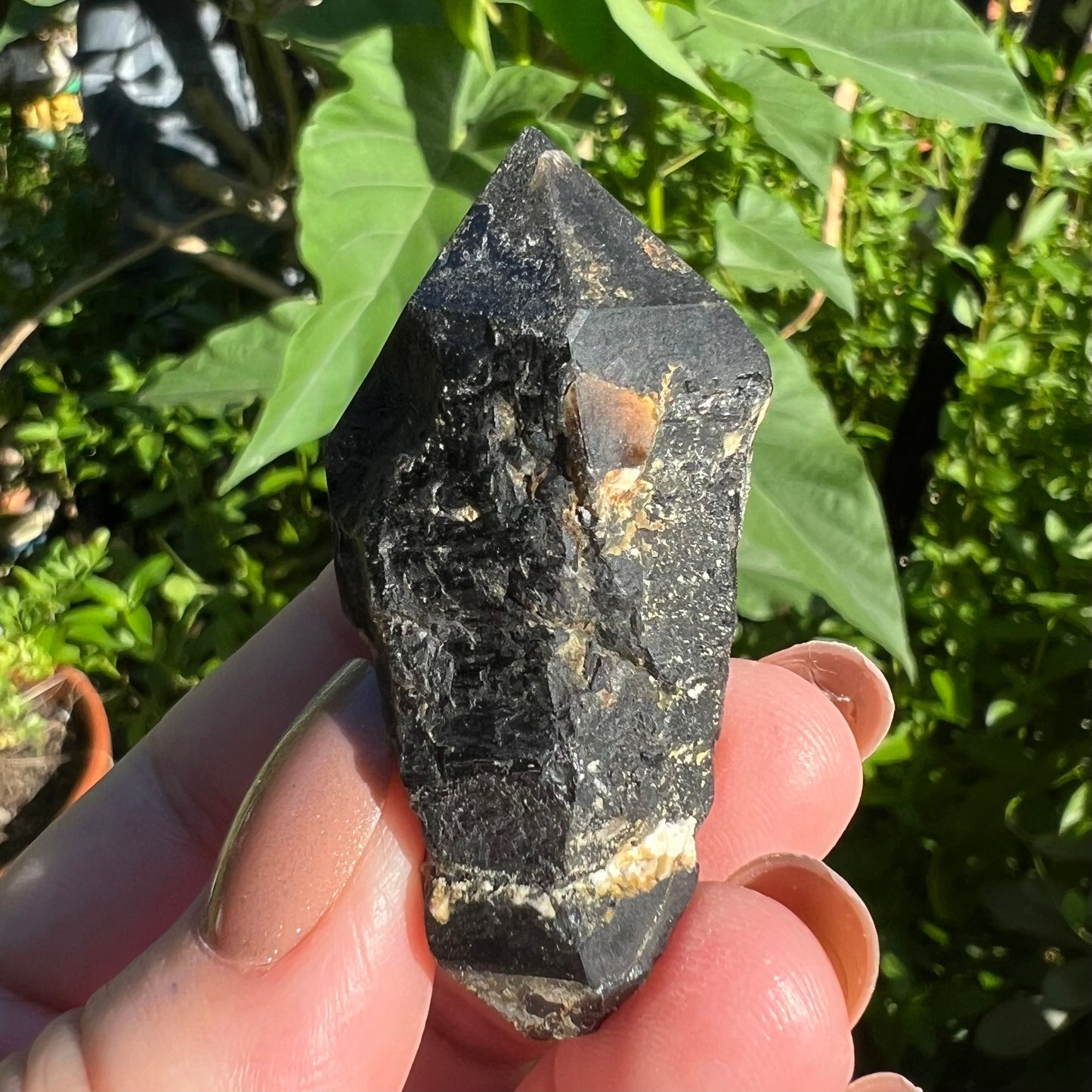 Morion Quartz Specimen | China | Double Terminated Black Quartz