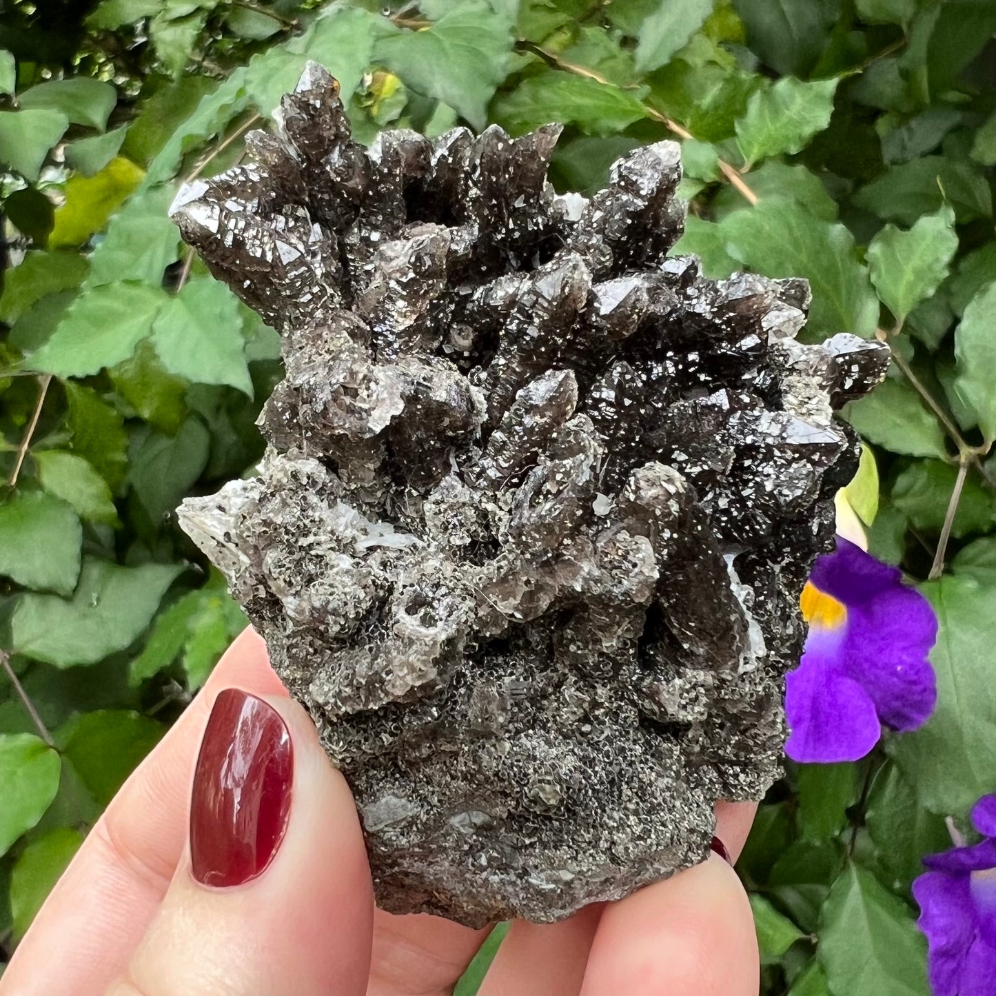 Black Morion Smoky 'Screw' Quartz Cluster