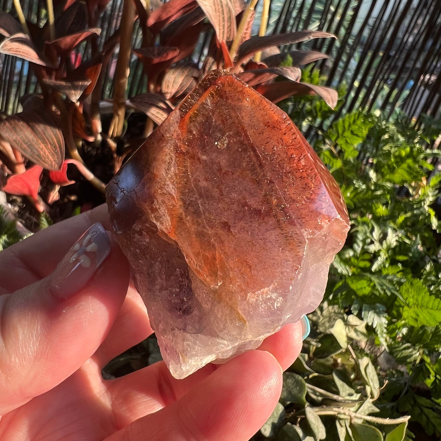 Red Cap Amethyst | Auralite-23 Large Natural Point