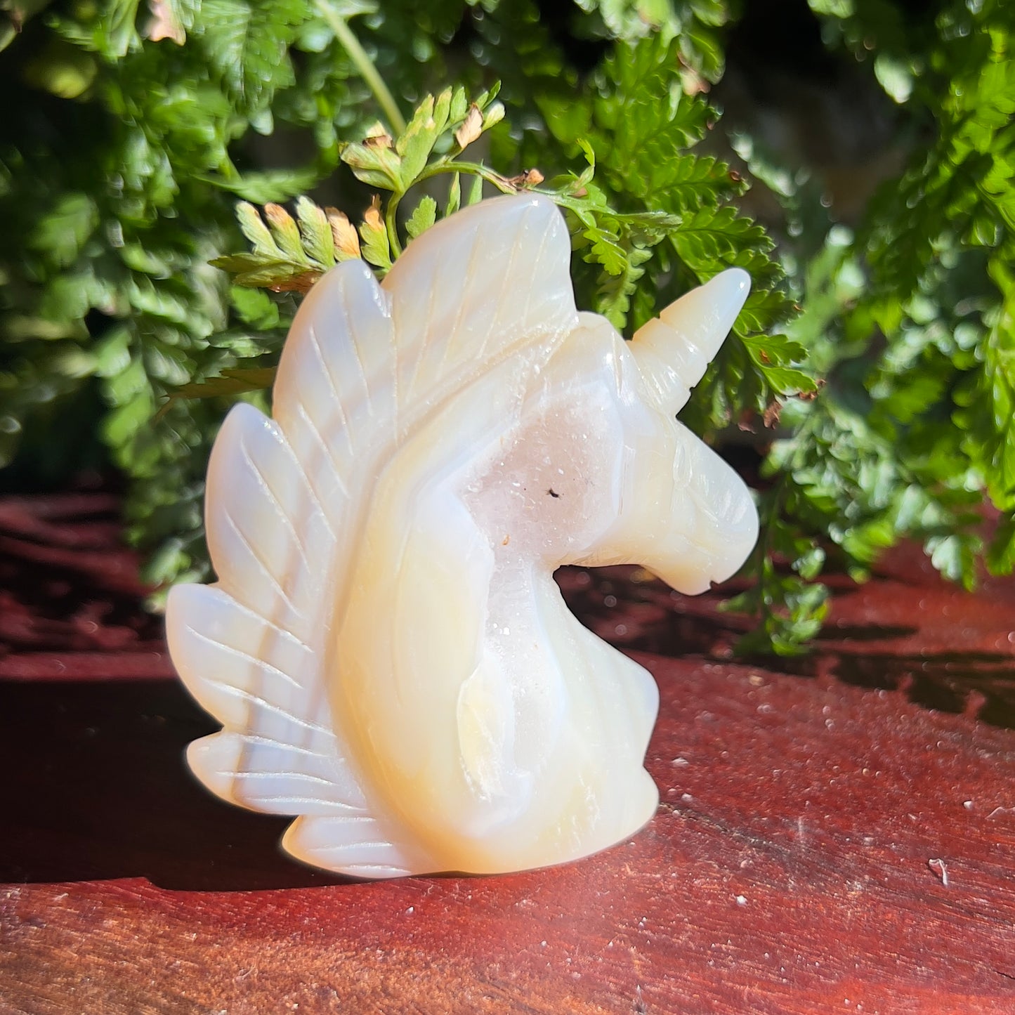 Unicorn Crystal Carving - Agate with Druzy (1)