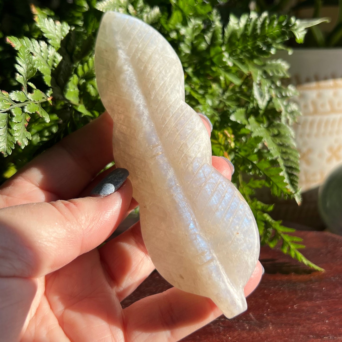 White Moonstone Carved Angel Feather (Blue flash)