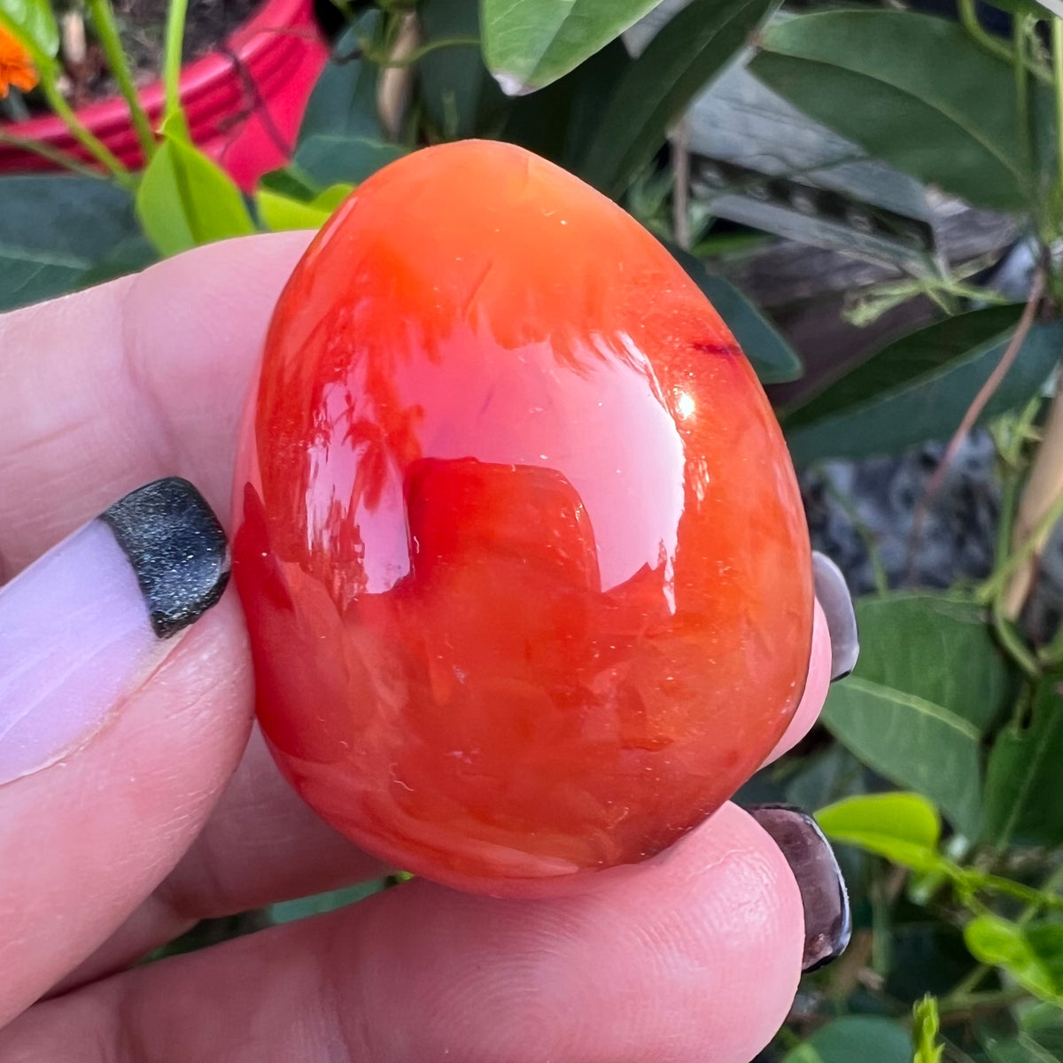 Solid Polished Carnelian Agate Egg with Quartz Druzy Cave