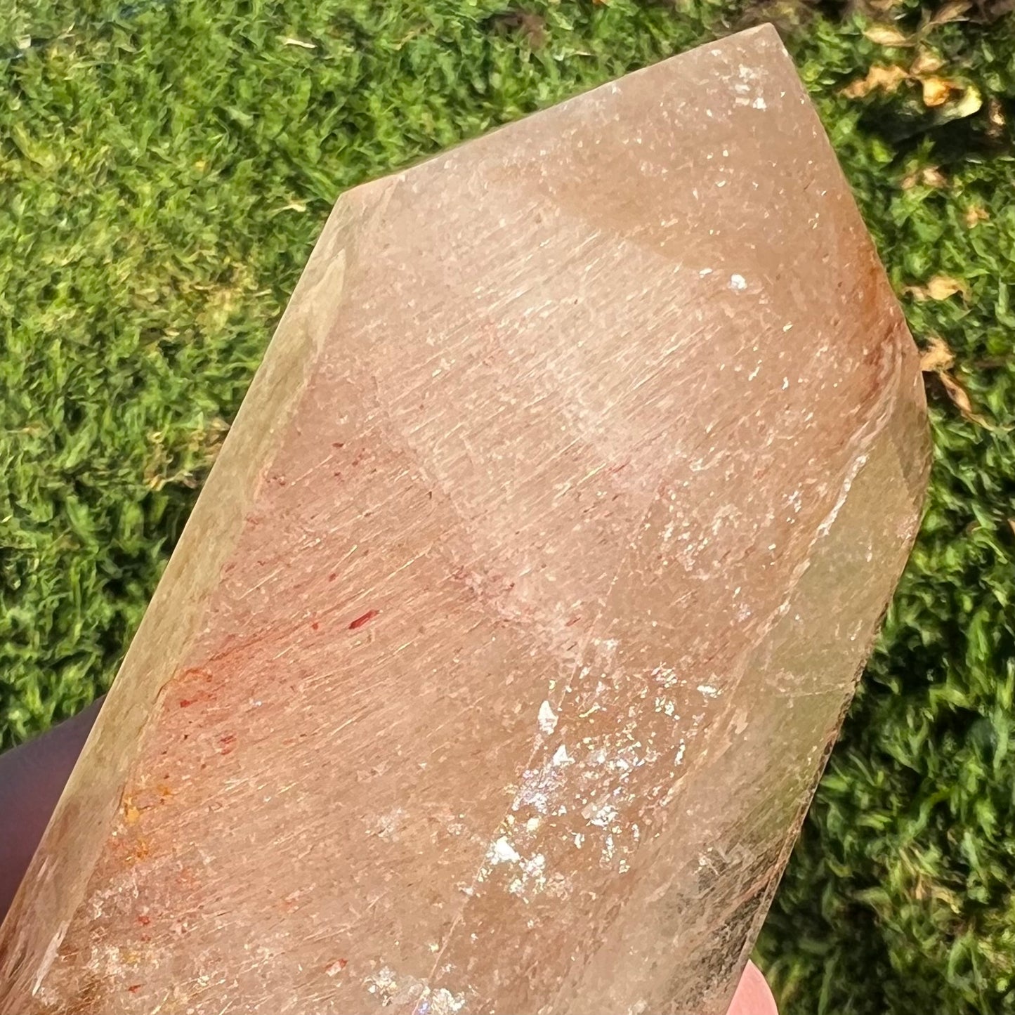 Golden Healer Sea Urchin Quartz Polished Point - Brazil | Hollandite, Iron and Rutile inclusions