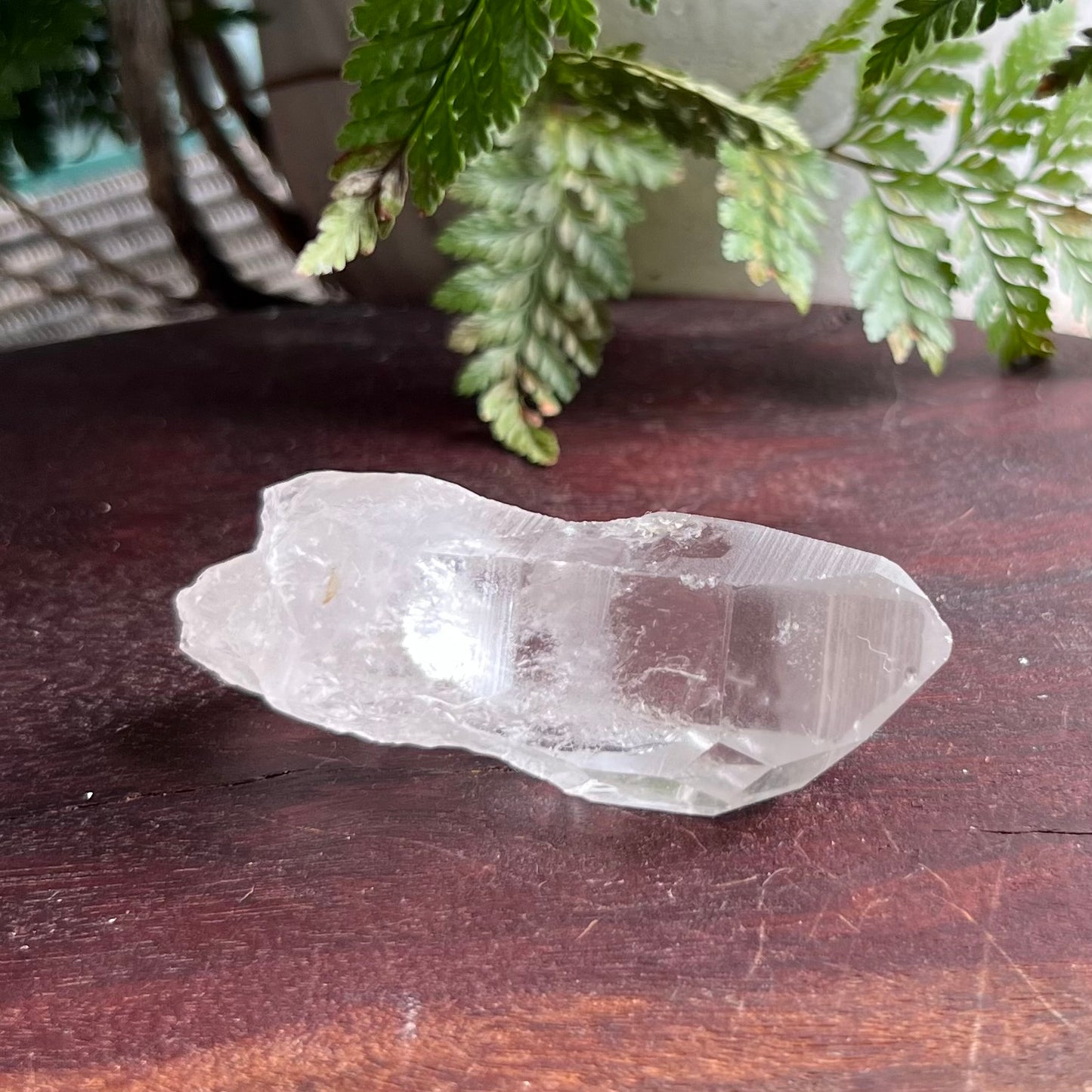 Diamond Window & Future Time-Link window Lemurian Quartz Point