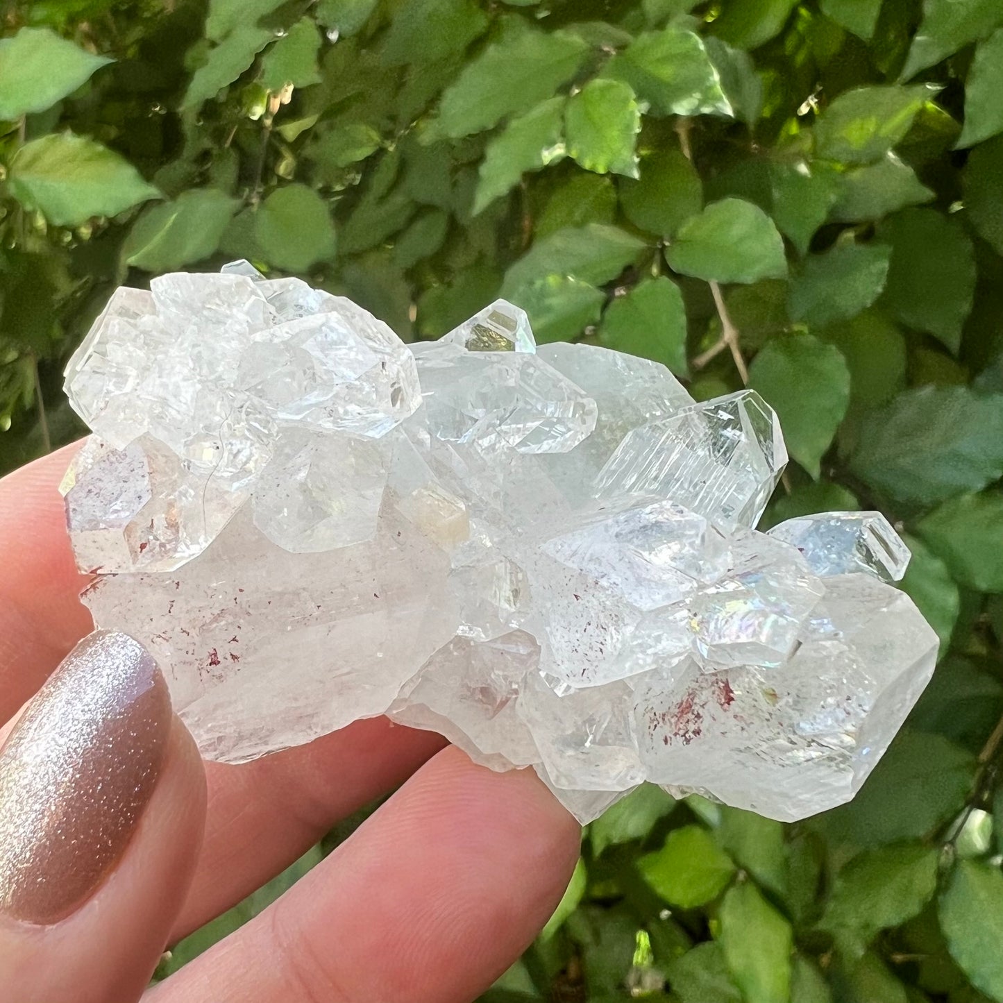 Mirror Apophyllite Cluster with Hematite inclusions - Jalgoan District, Maharashtra, India