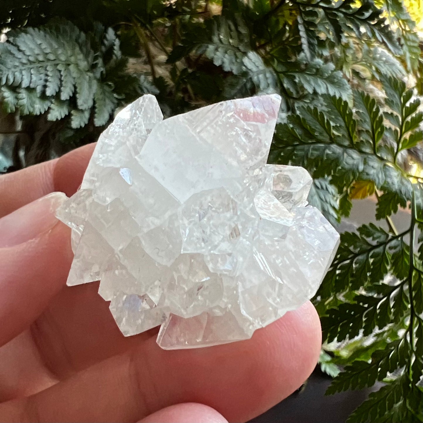 Mirror Apophyllite on Clear Calcite Matrix Cluster - Jalgoan District, Maharashtra, India