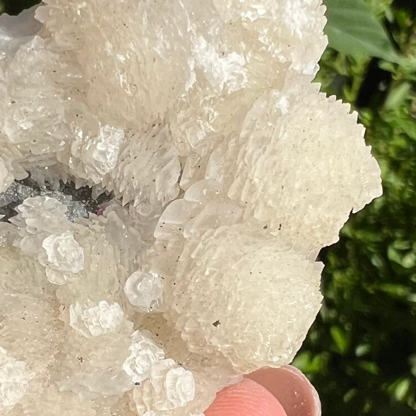 ‘Flower’ Calcite Mineral Specimen - Fujian, China | UV Reactive