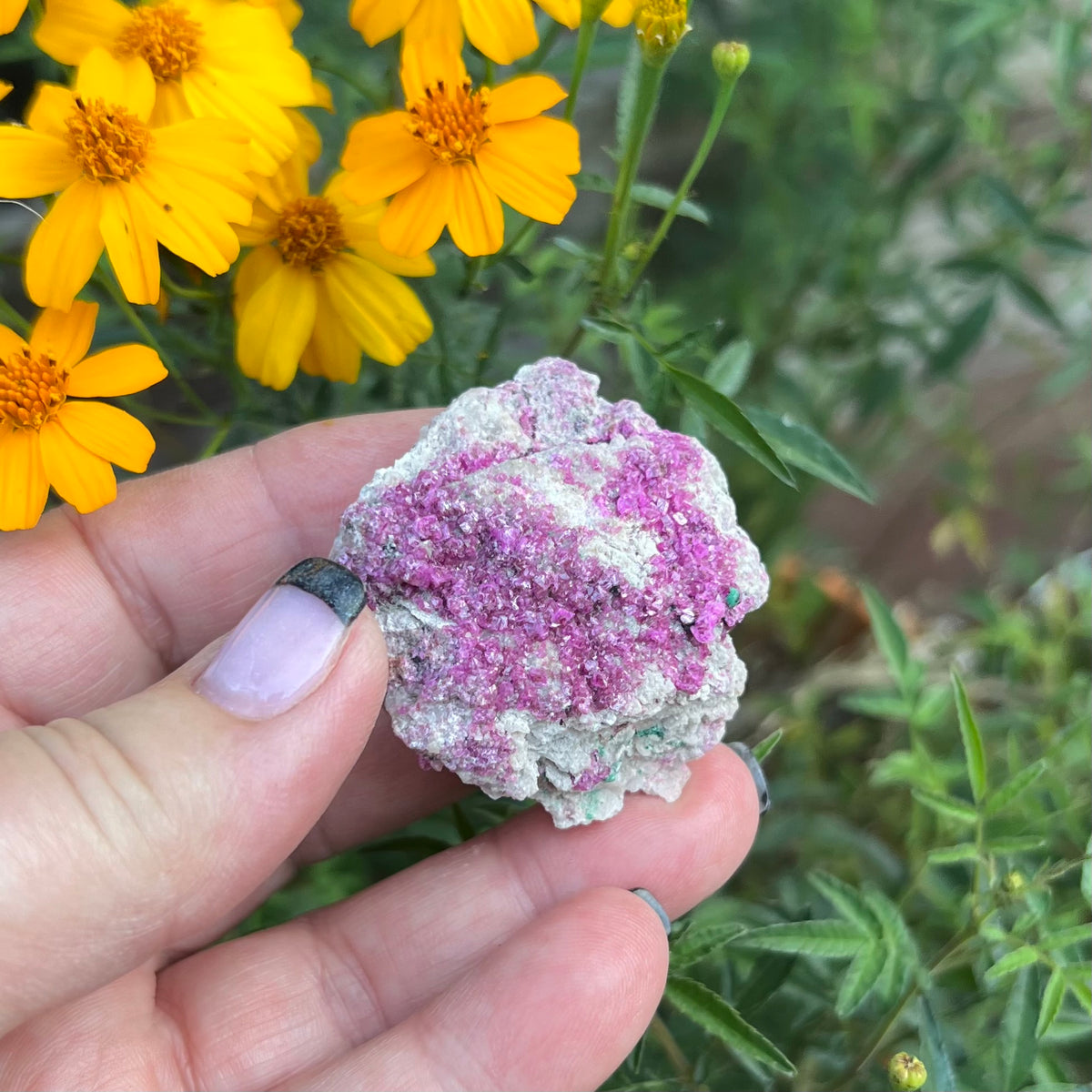 Cobaltoan Calcite /Cobalt Calcite - from the Katanga Province, The Democratic Republic of Congo.