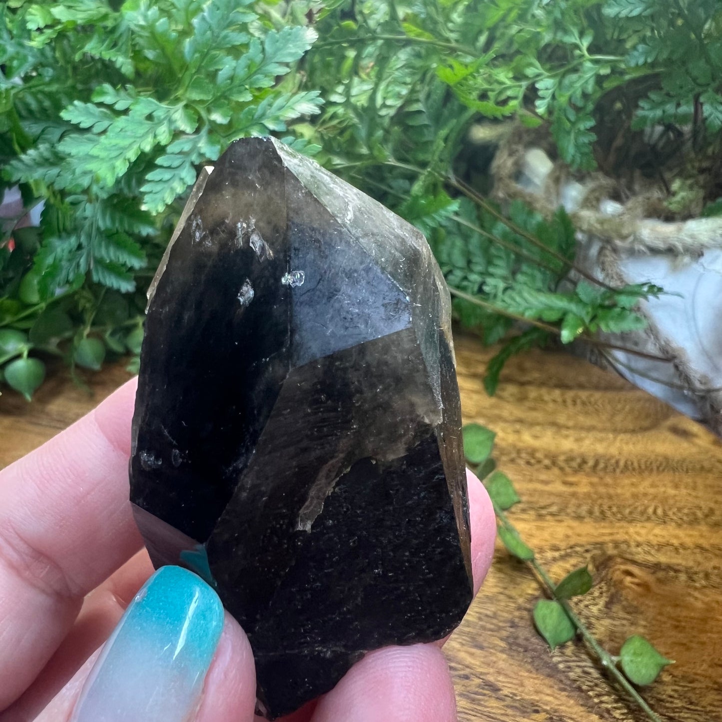 Morion Quartz Point | Black Quartz with Smoky Quartz capping