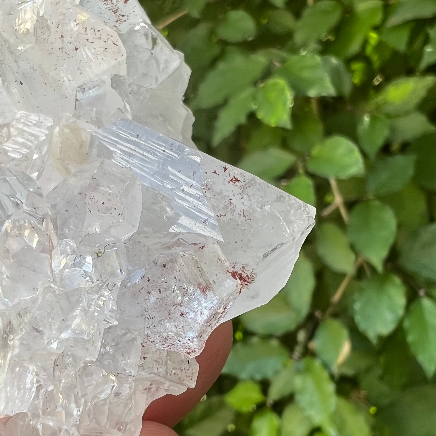 Mirror Apophyllite Cluster with Hematite inclusions - Jalgoan District, Maharashtra, India
