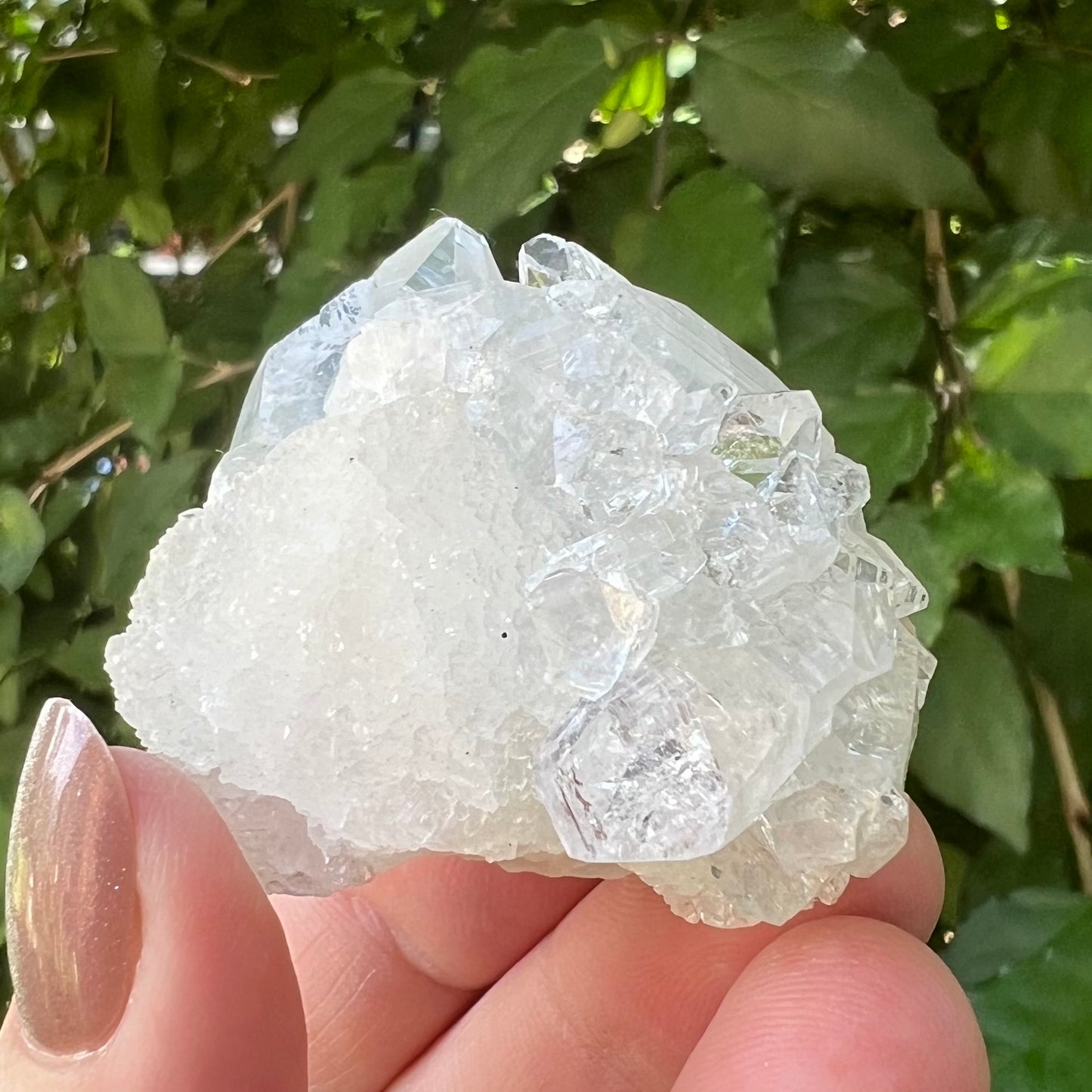 'Hen & Chickens' Mirror Apophyllite on Clear Calcite Matrix Cluster - Jalgoan District, Maharashtra, India