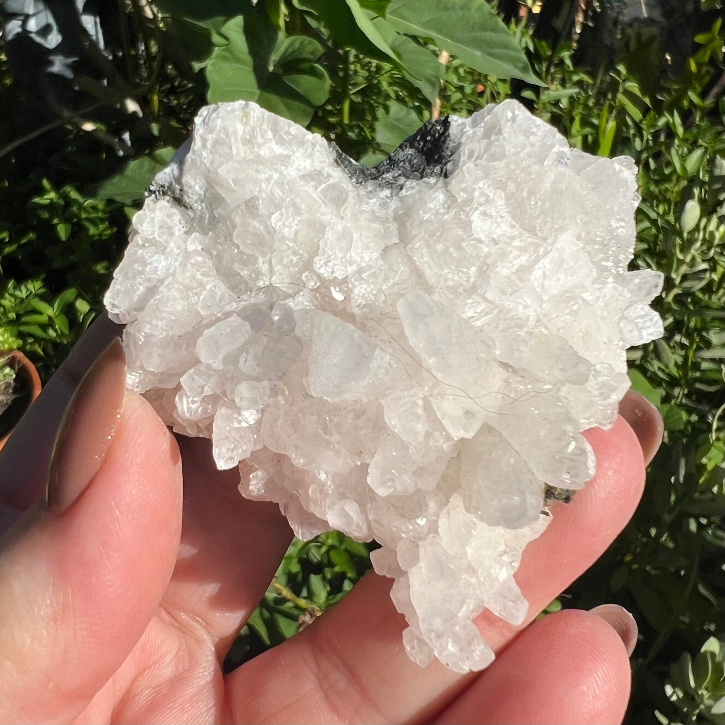 ‘Feather’ Calcite Specimen - Hunan, China | UV Reactive