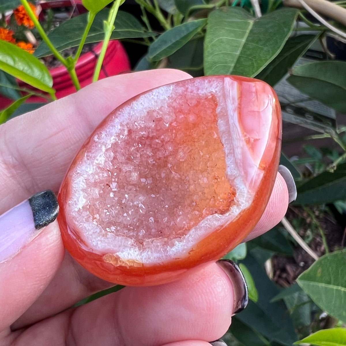 Vibrant fiery orange Carnelian geode with interior cavern full of sparkling quartz druzy.