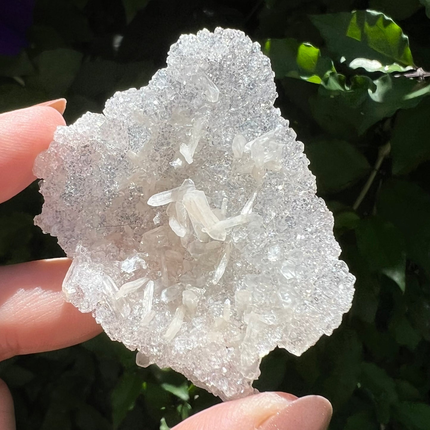 Snowflake Apophyllite | Sugar Druzy Apophyllite - Lusterous & High Grade | Jalgoan District, Maharashtra, India -