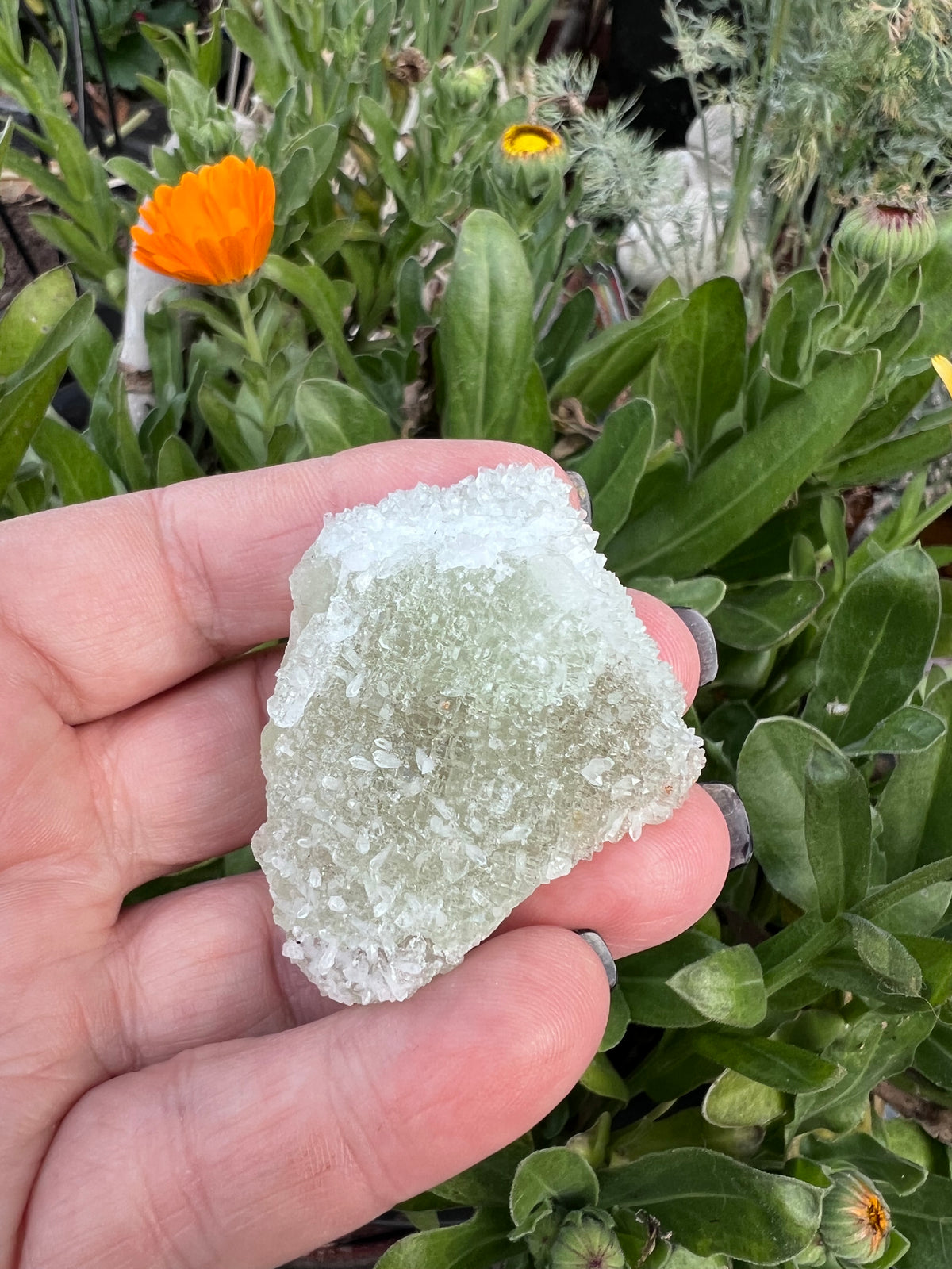 Large Octahedral Fluorite Section Specimen blanketed in Quartz Druzy