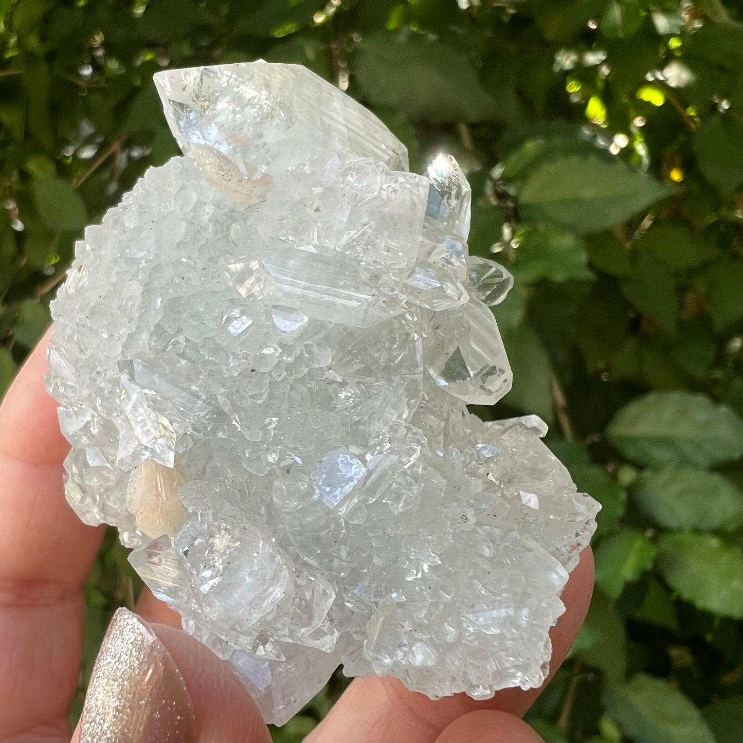 Mirror Apophyllite and Apophyllite Druzy with Stilbite Zeolite Cluster - Jalgoan District, Maharashtra, India