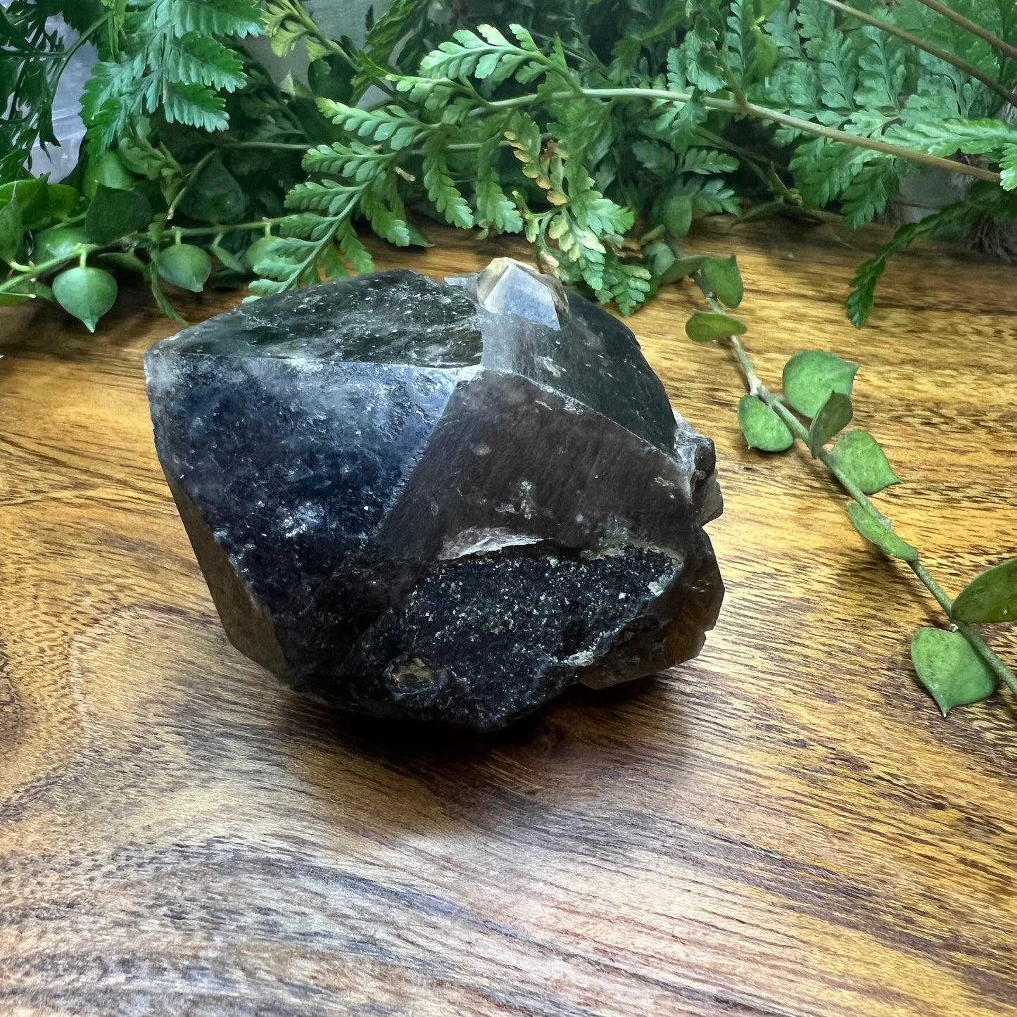 Morion Black Quartz Point | Smoky Quartz Cap | Natural Imprinted base