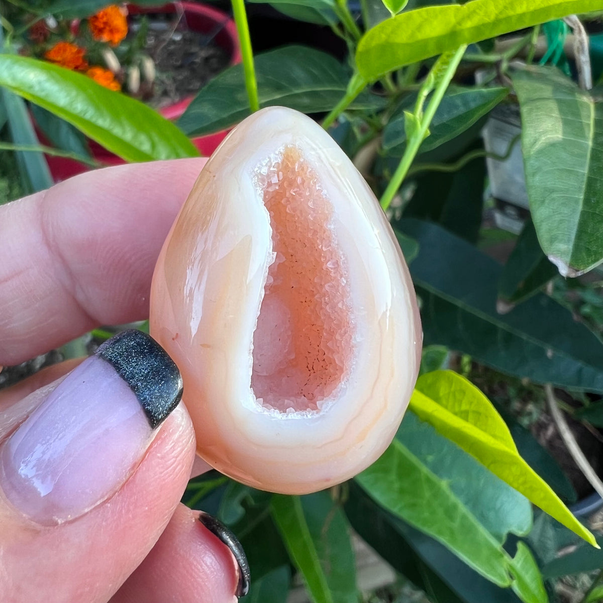 A hand holding a polished teardrop-shaped agate geode with mineral banding and a pinkish-orange interior druzy filled cavity.