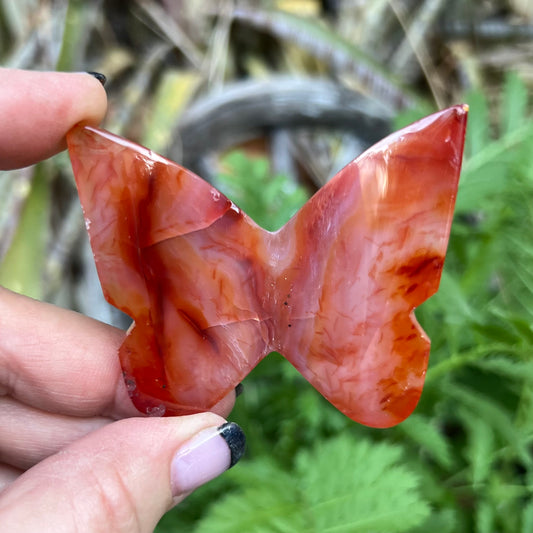Carnelian 3D Butterfly Carving