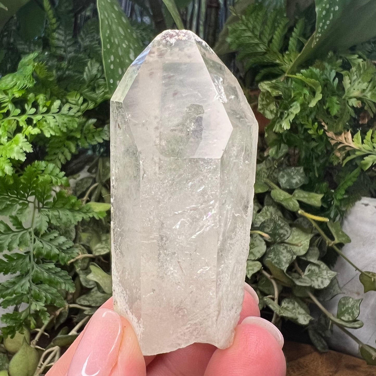 Chunky Raw Lodalite Inclusion Quartz Point