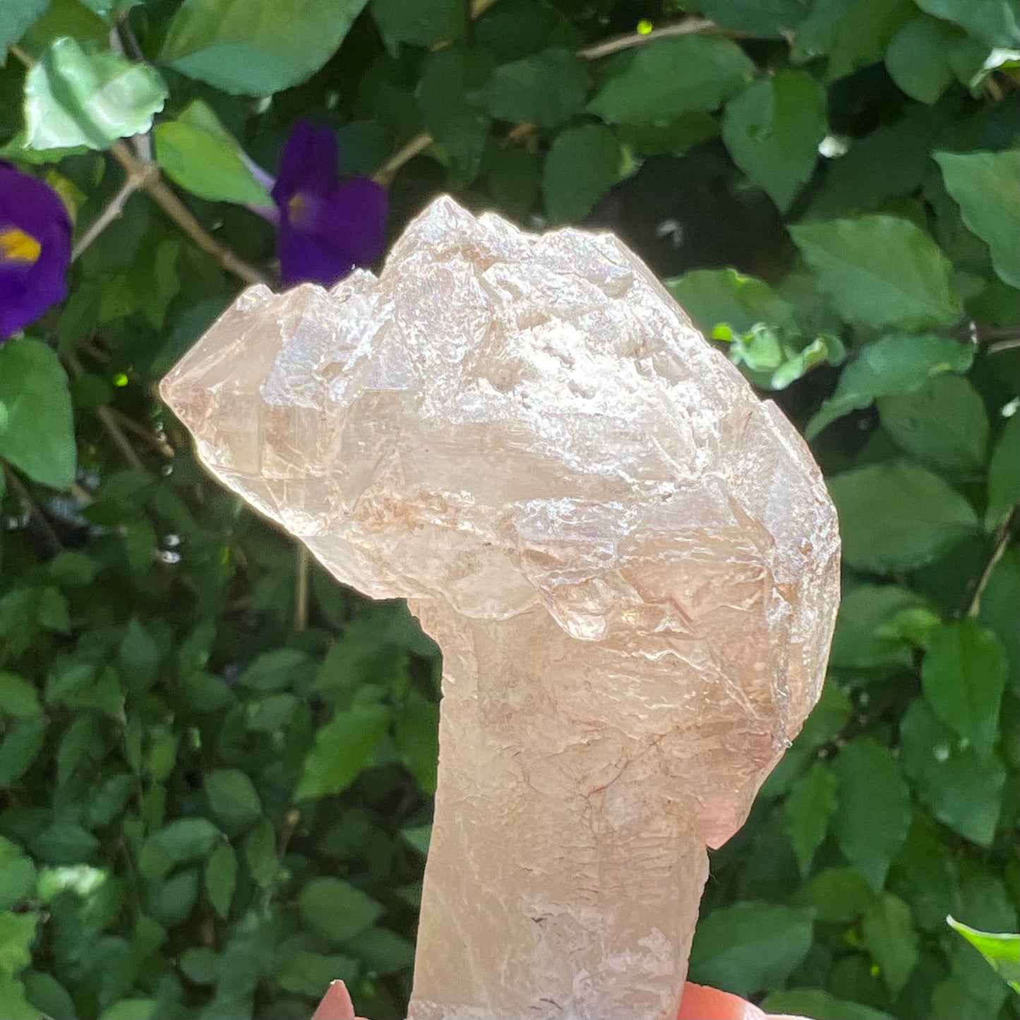 Elestial Stalactite Clear Quartz with Smoky Quartz double-terminated Scepter | Inner Mongolia