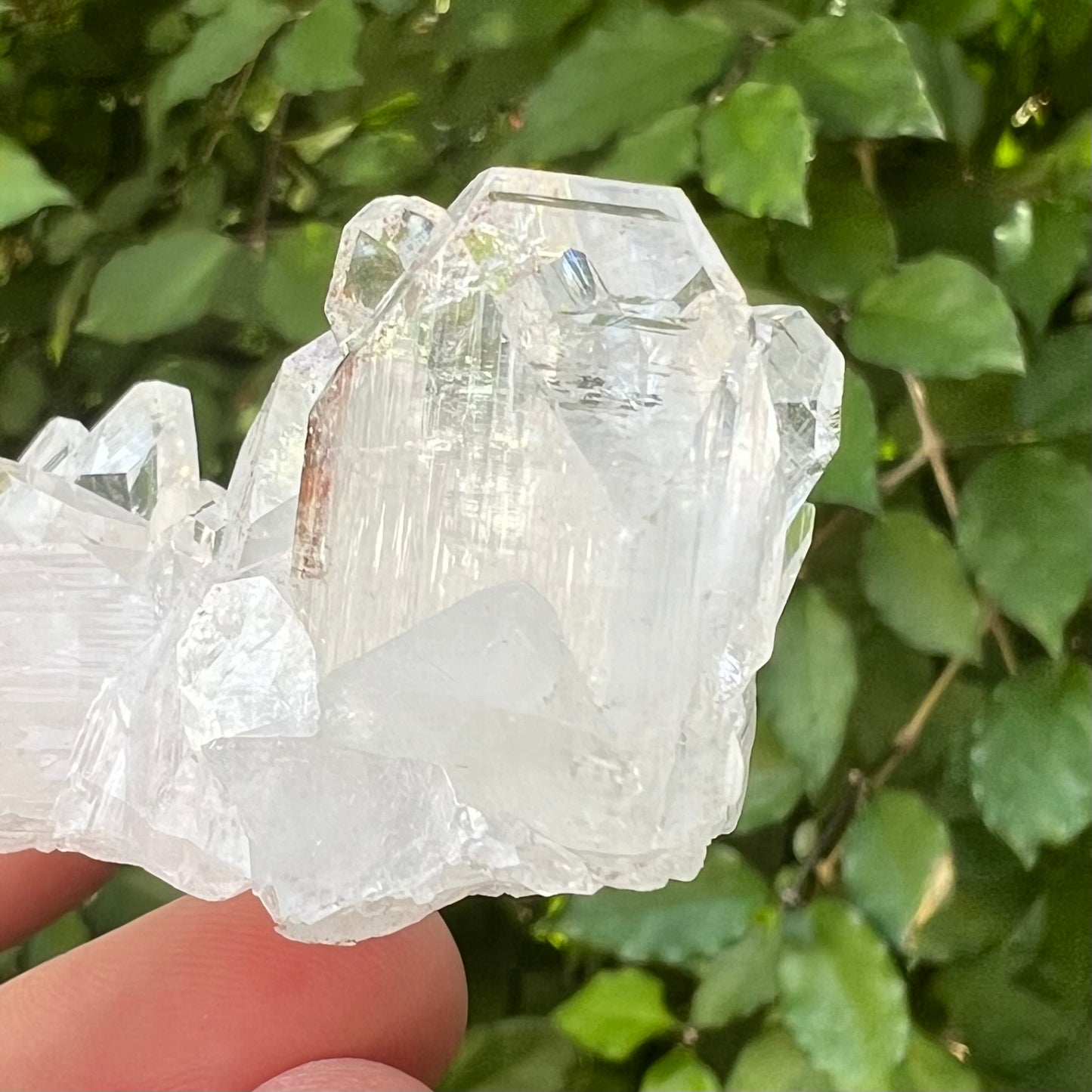 Mirror Apophyllite Cluster with Hematite inclusions - Jalgoan District, Maharashtra, India