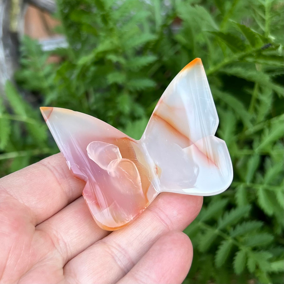 Carnelian 3D Butterfly Carving